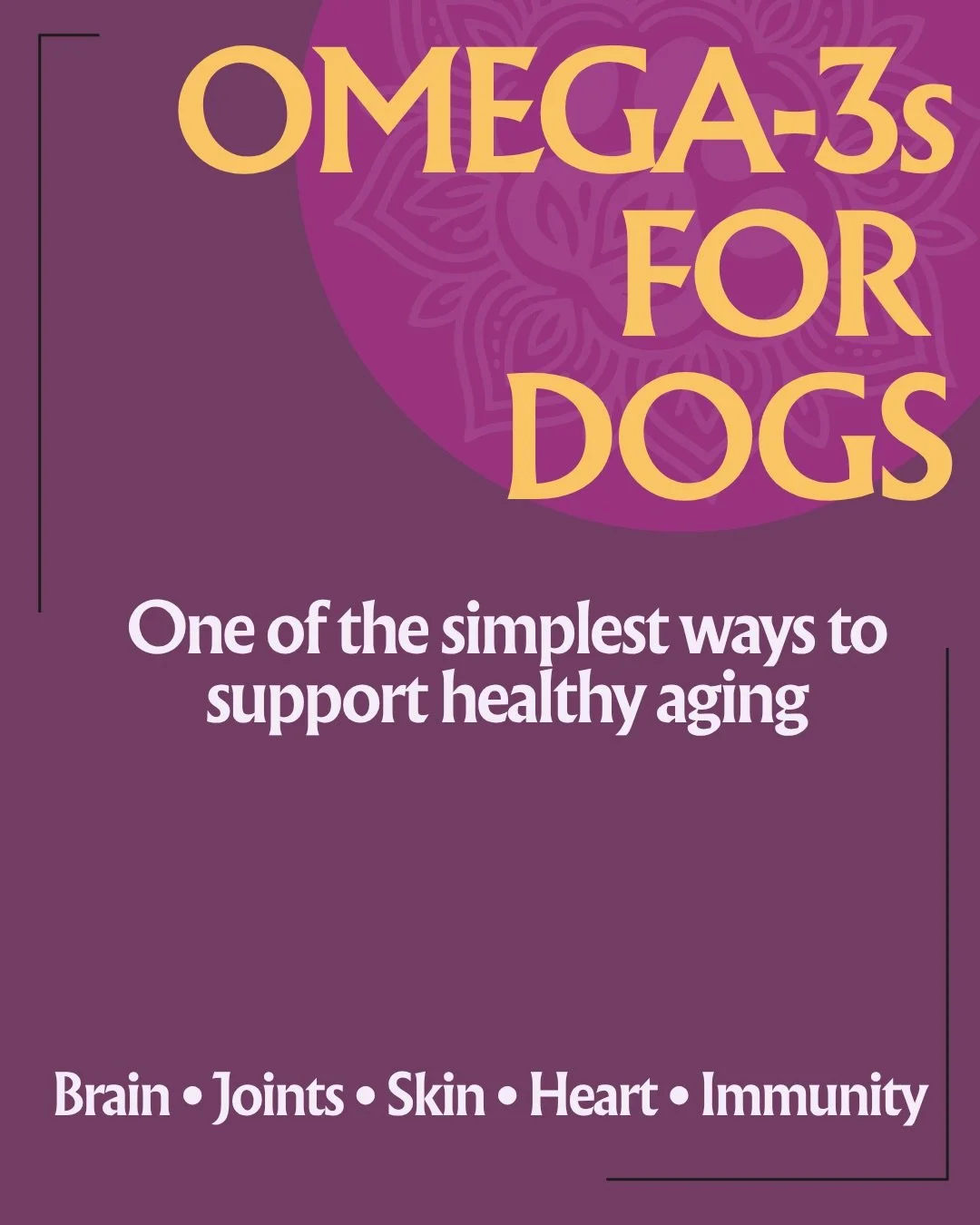 One small addition to their bowl can support so much. 🐾💜

Omega-3 fatty acids are one of our favorite foundational nutrients for dogs, especially as they move into their senior years. From supporting the brain and joints to the skin, heart, and imm