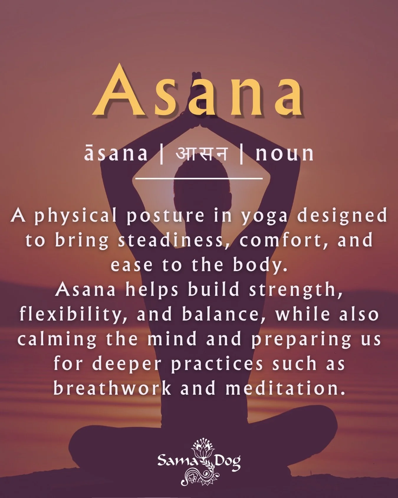 Asana is so much more than a yoga pose. 🧘&zwj;♀️🐾
In yoga, asana invites us to become more present in our bodies &mdash; finding steadiness, ease, balance, and awareness in the moment.

And our dogs are wonderful teachers of exactly that. 🤍

They 