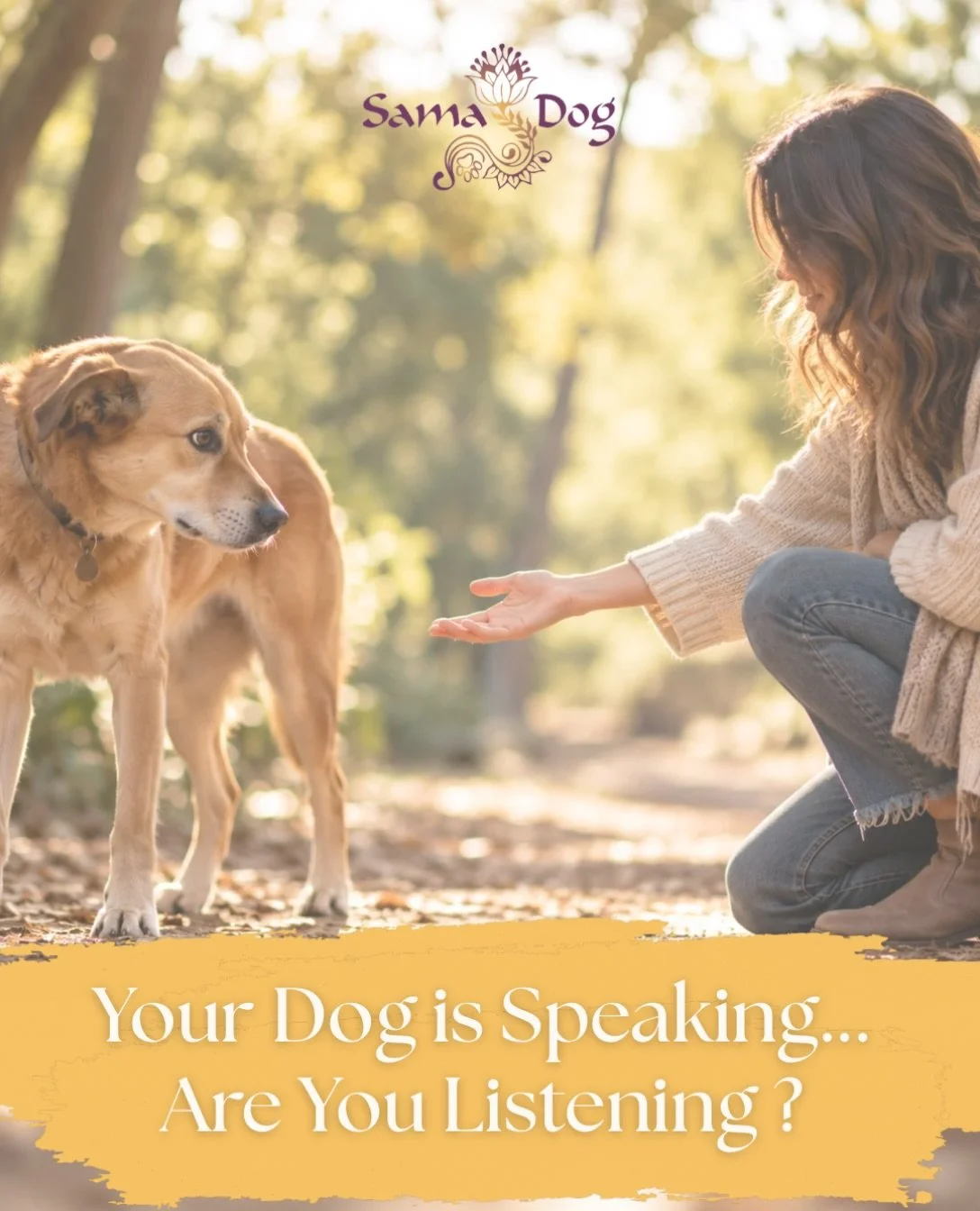 What if some of the things we call &ldquo;behavior problems&rdquo; are actually communication we&rsquo;re not understanding? 🐾 
A dog who turns away when we reach to pet them.
A dog who freezes when someone leans in for a hug.
A dog who growls when 