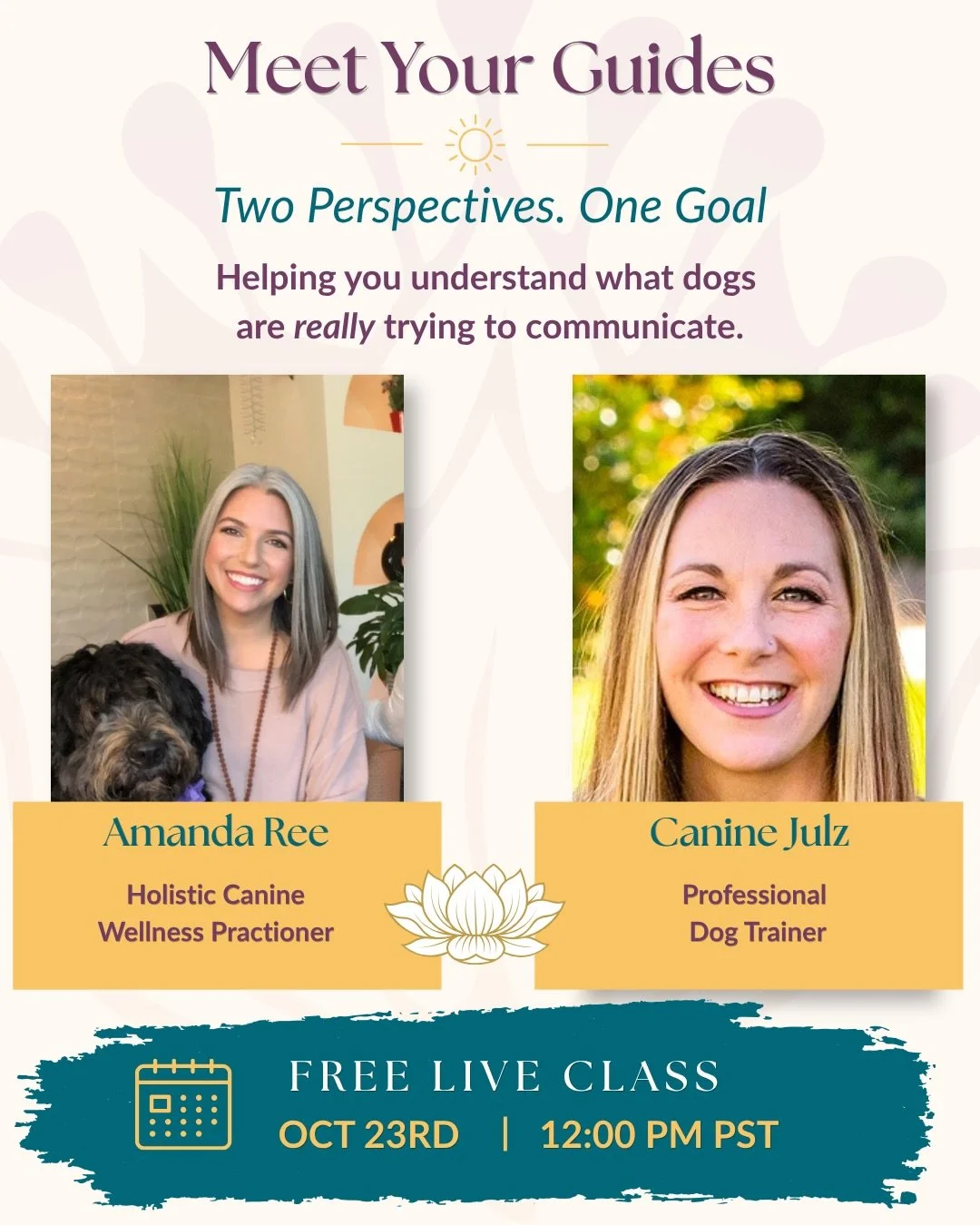 Not every warning is a growl. And knowing the difference can change everything.

What happens when we bring together years of hands-on experience with dogs, a deep understanding of canine behavior, and a shared passion for helping humans and dogs und