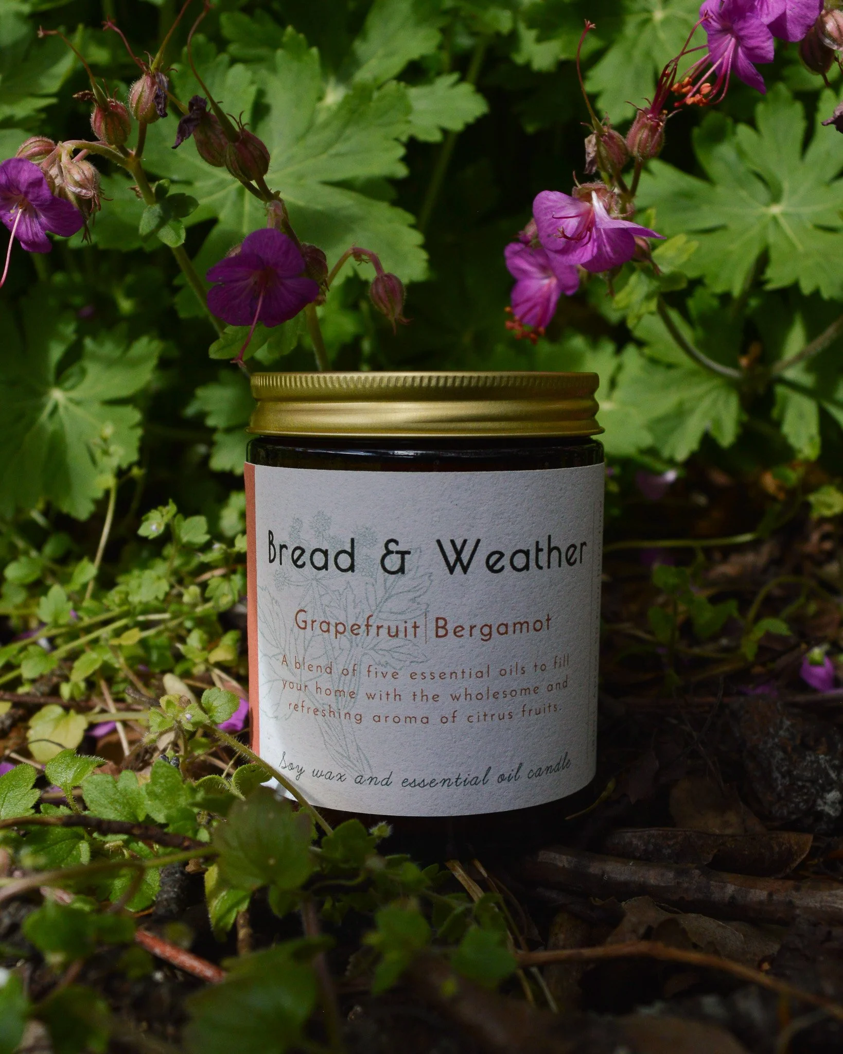 Geranium Vetiver Essential Oil Soy Candle Non Toxic Candle Plastic