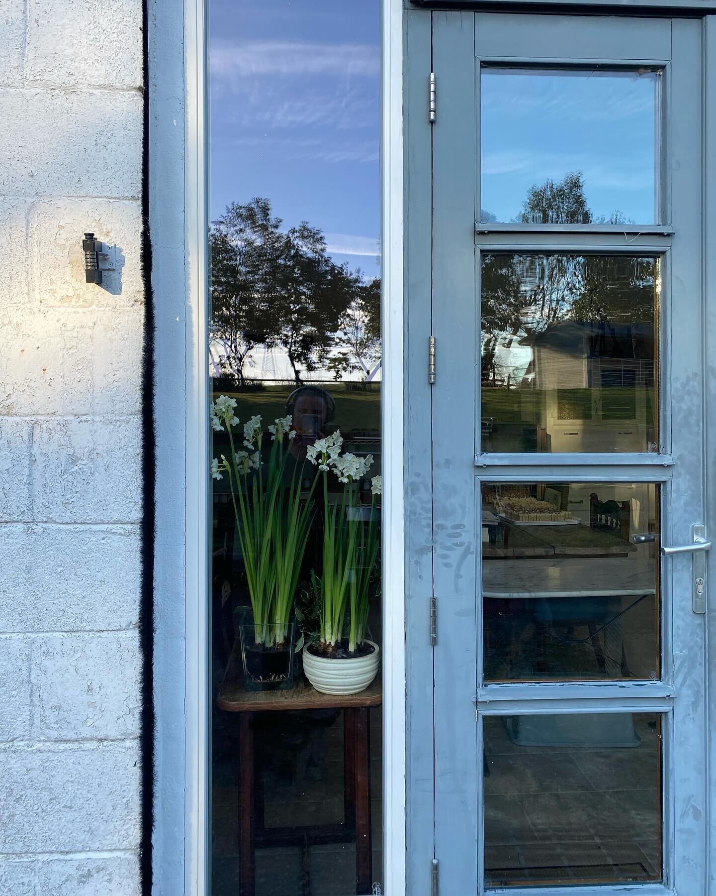 5 small joys from last week:
1. Narcissus Paperwhites. Best thing I&rsquo;ve ever done for the winter blues. So much delight from 10 little bulbs.
2. New old desk. My mum has been helping a friend of ours move out of her home and into a nursing home.