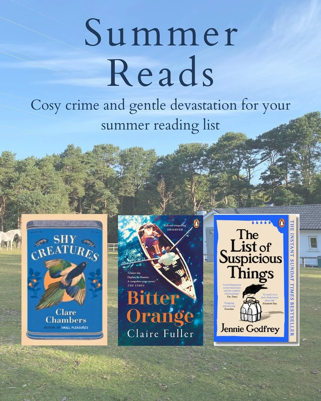 Cosy crime and quiet little gut-punches. Perfect for tired brains and long summer afternoons
 → link in bio ☀️📖