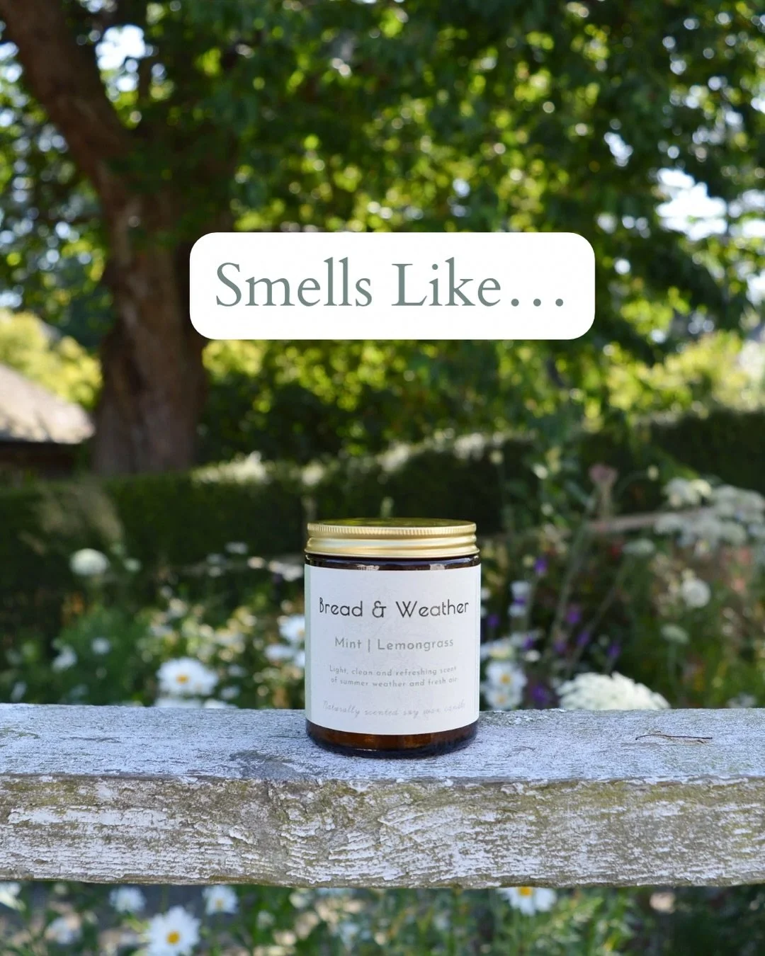 Mint Lemongrass is a well rounded blend of seven essential oils, including crisp peppermint and fragrant lemongrass, balanced by soft floral notes that add depth and calm.
Available in three sizes of soy candle, as well as in reed diffuser and twinkl