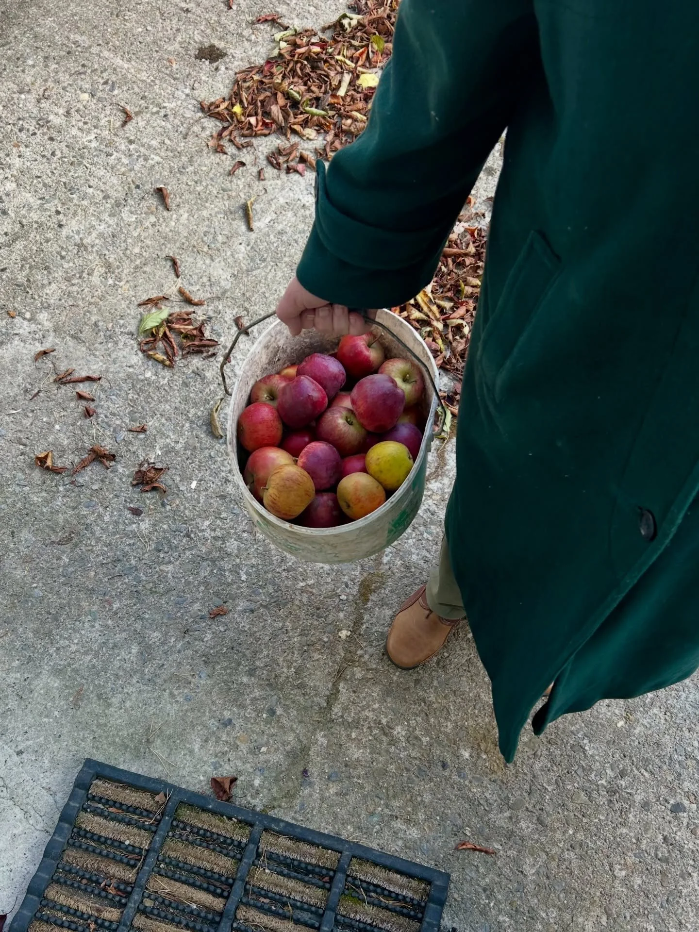 Wrapping up my autumn camera roll before the last leaves hit the ground:

1. This huge bucket of apples from my mum&rsquo;s friend&rsquo;s garden. I can&rsquo;t even tell you how happy I was to see it. The best and most delicious of riches.

2. The w