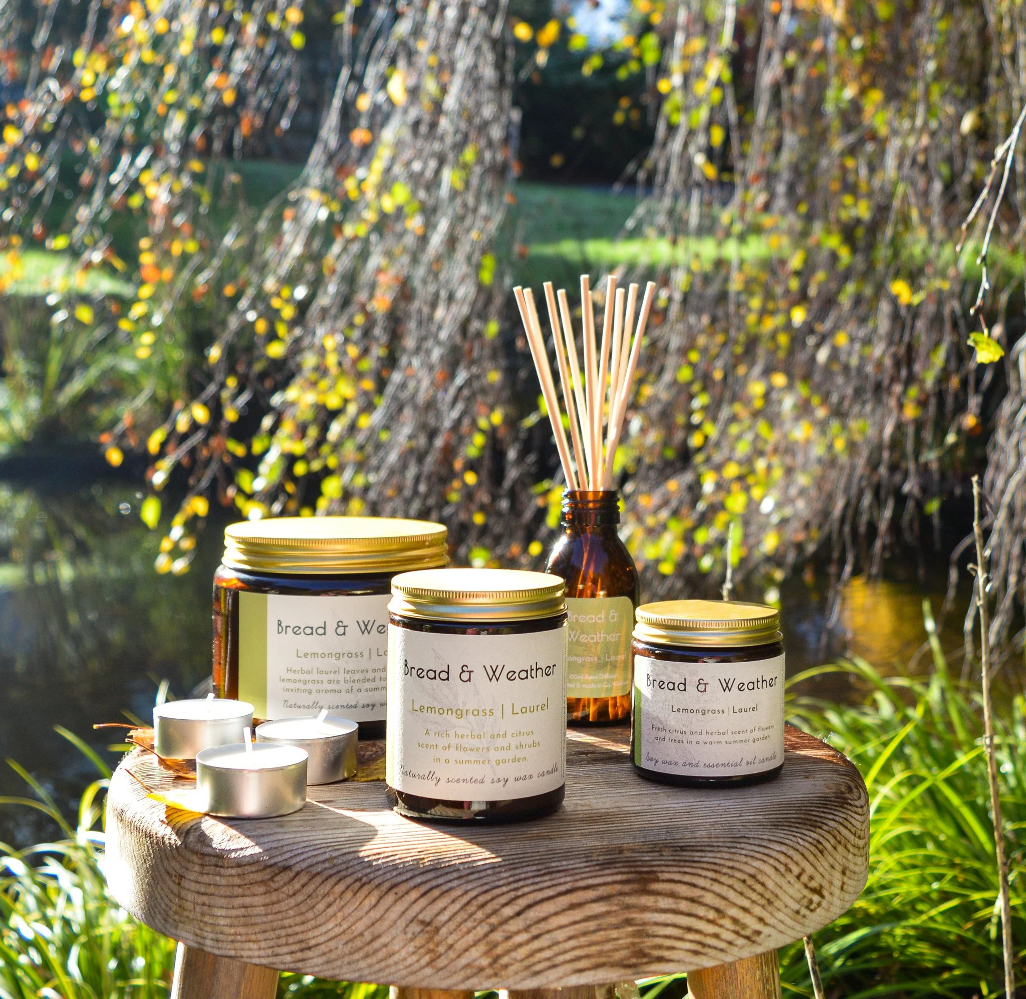 Not sure which size or delivery of scent to get? Read this