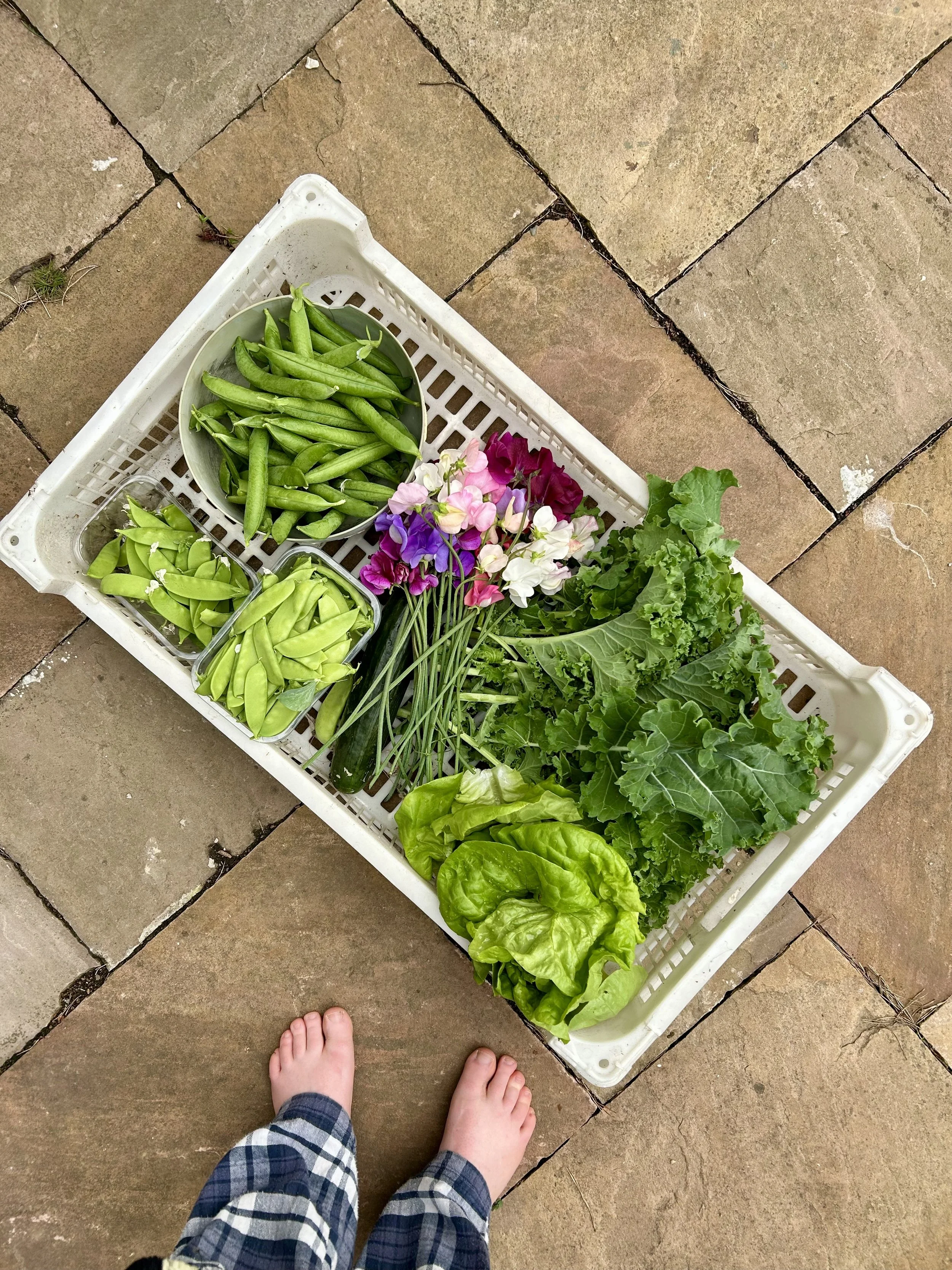 Quiet quitting and choosing a simpler life