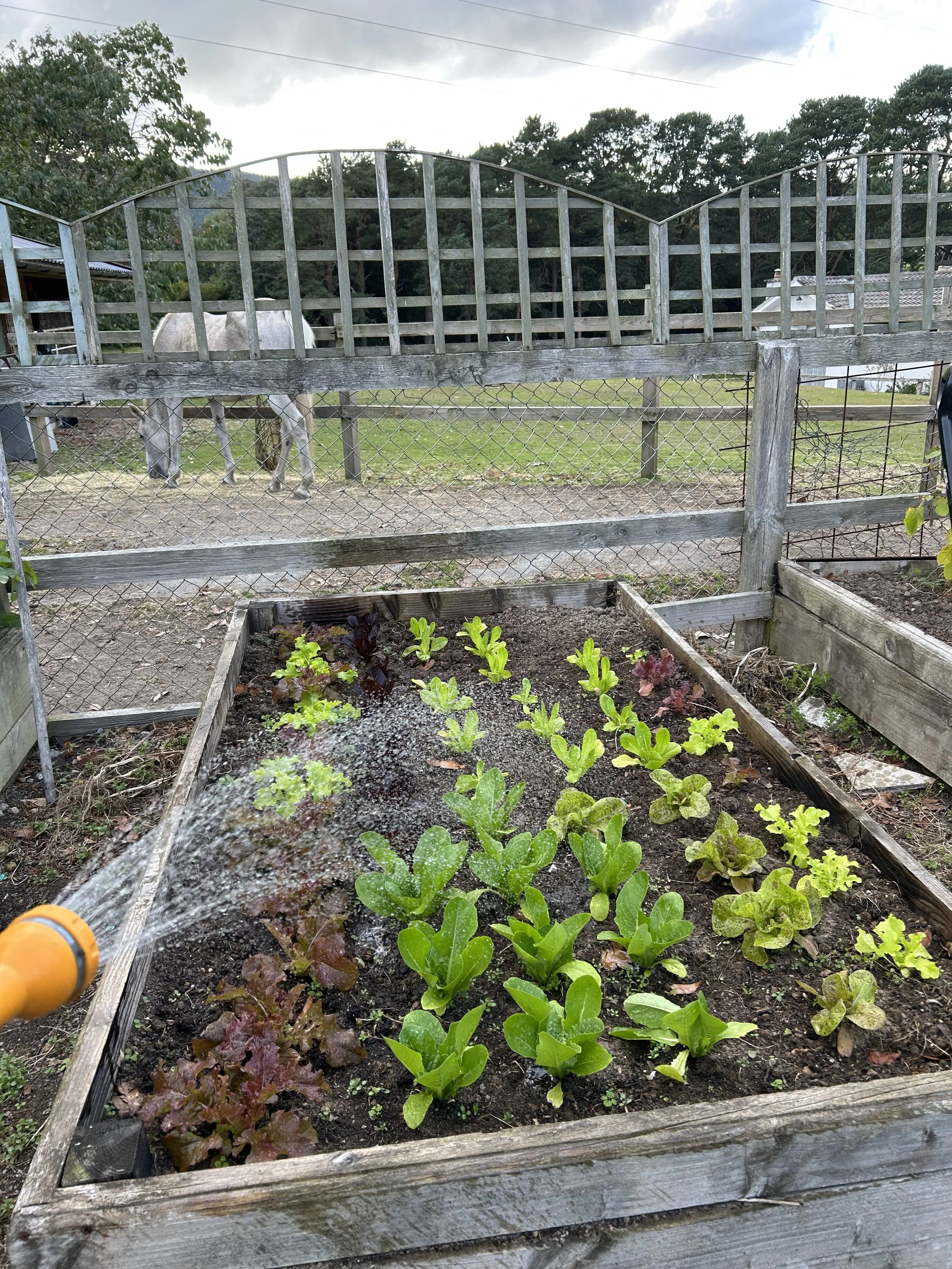 Post burnout millennial life