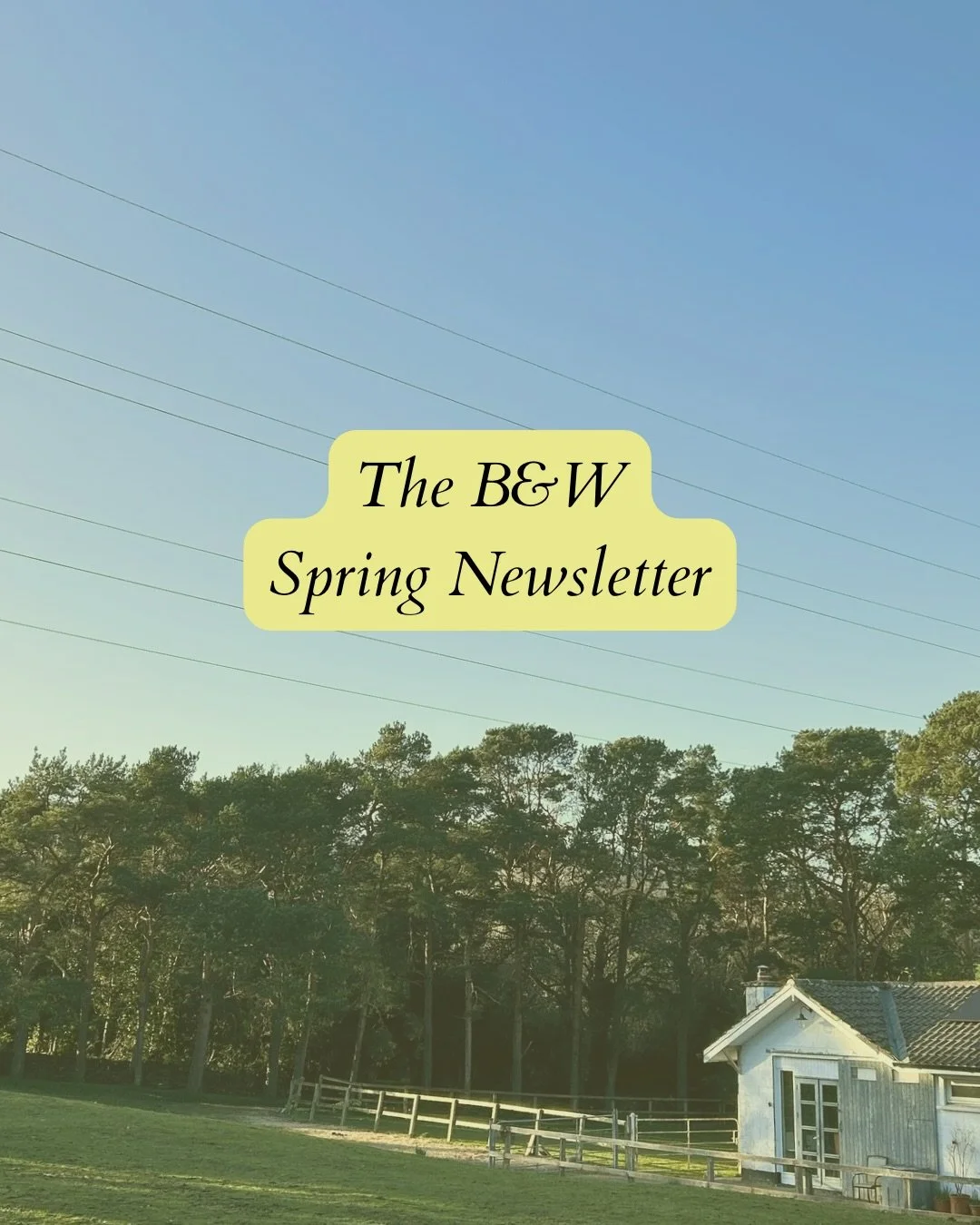 Hello 👋🏻

I&rsquo;ll be sending the spring newsletter from B&amp;W this weekend. Link in bio if you would like to receive it☀️📮