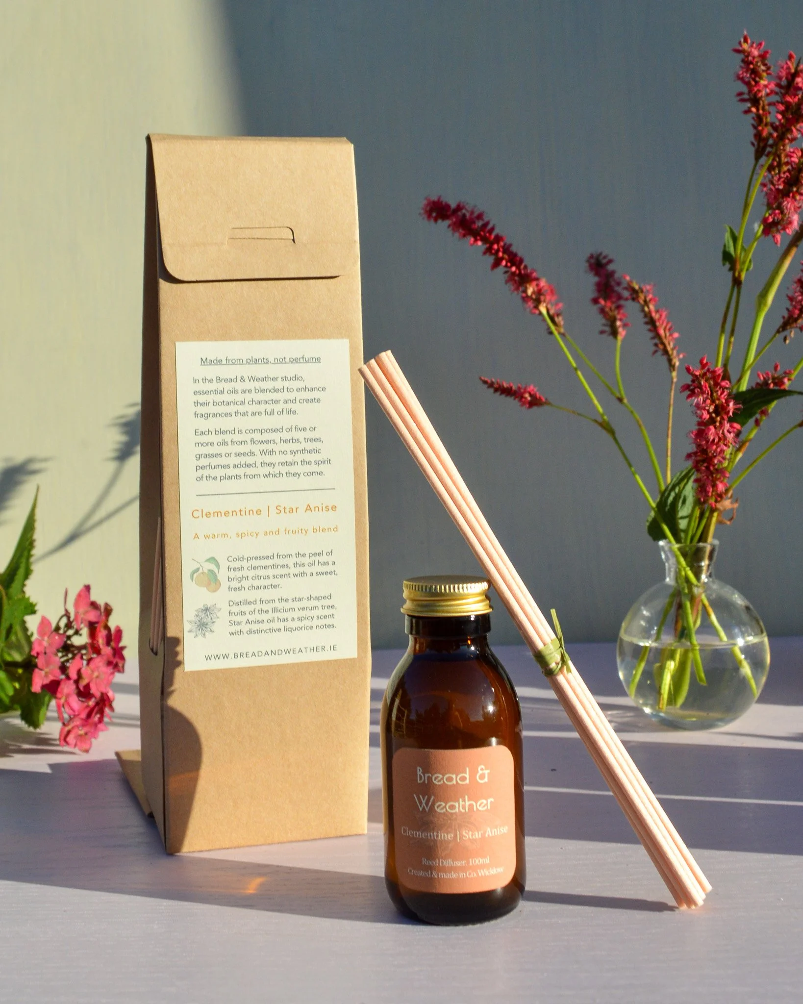 Star Anise Clementine Diffuser Gift.jpg