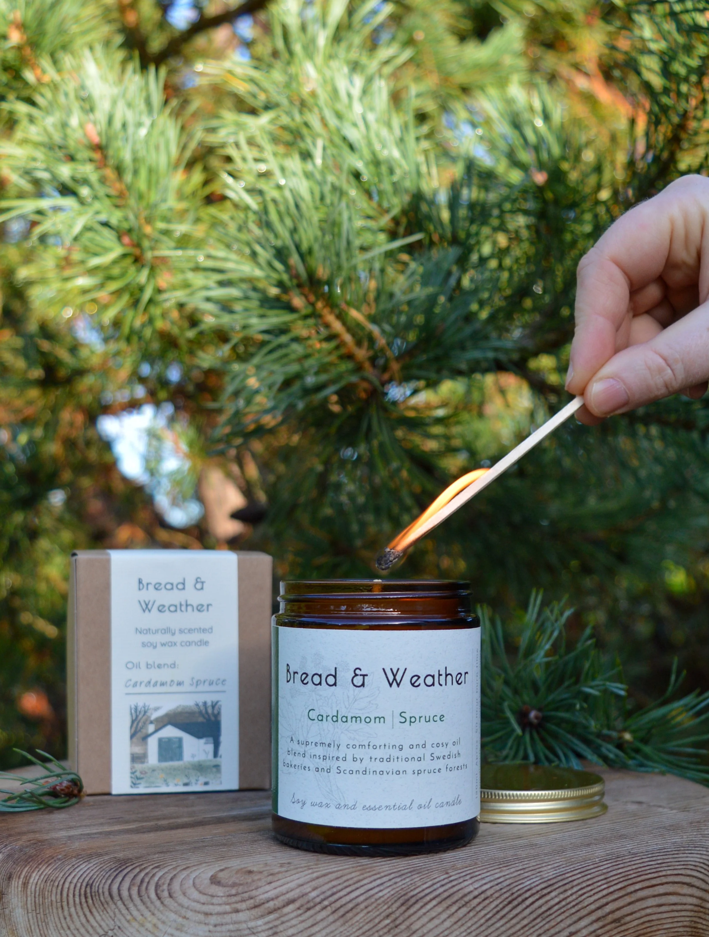 Cardamom Spruce Naturally Scented Soy Candle