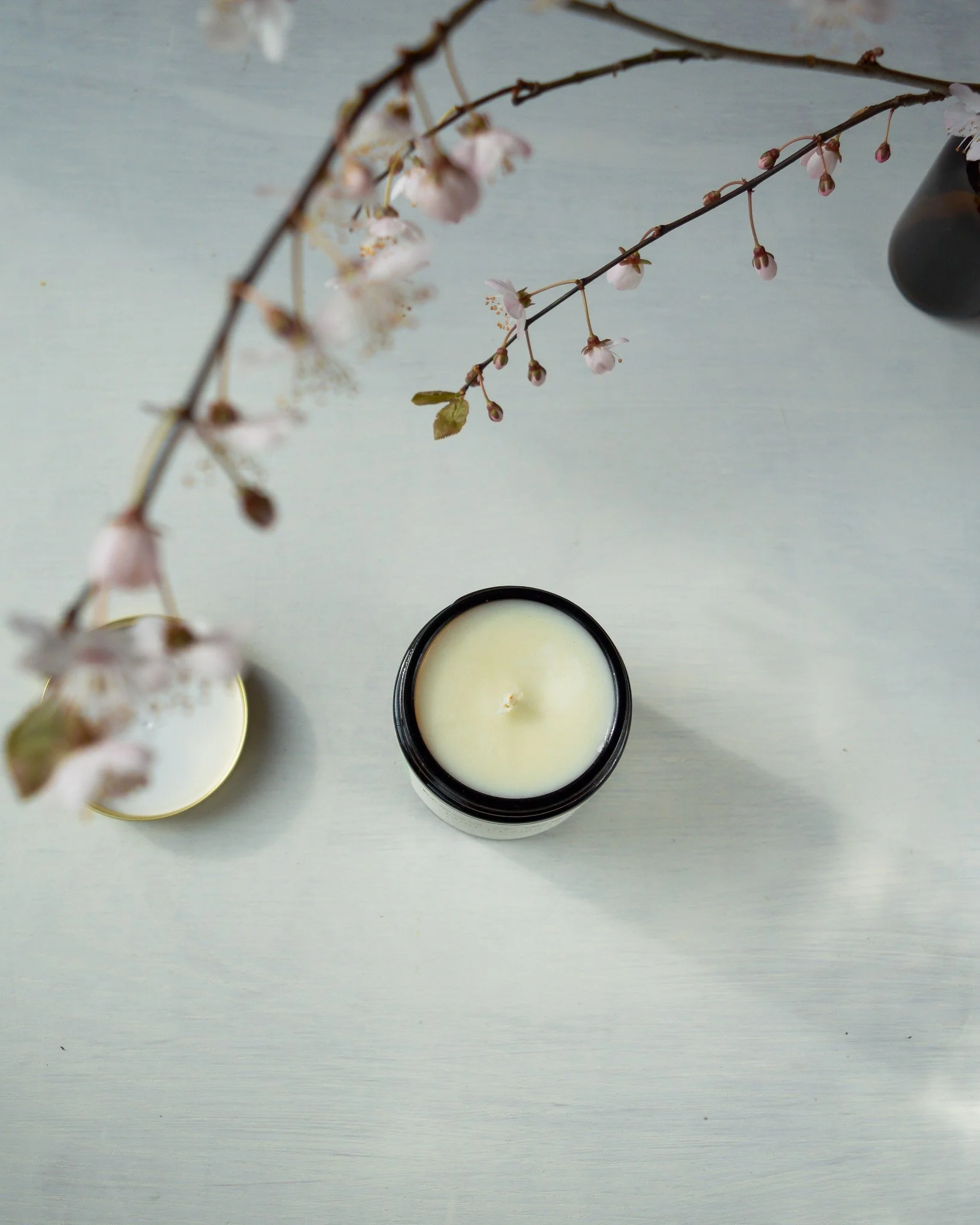 Mint Lemongrass Soy Candle.jpg