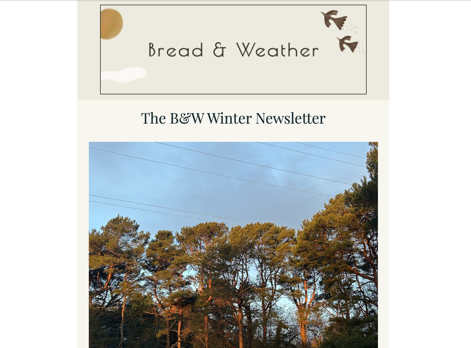The newsletter features a header with the title 'Bread & Weather' and a bird illustration, followed by the subtitle 'The B&W Winter Newsletter' and a photograph of trees under a partly cloudy sky.