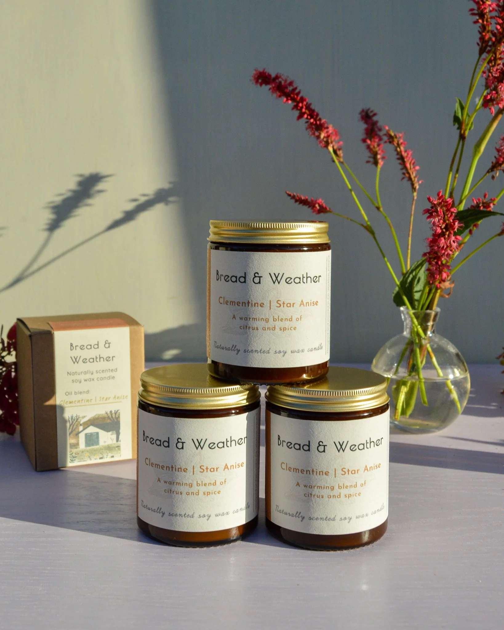 Star Anise Candles.jpg