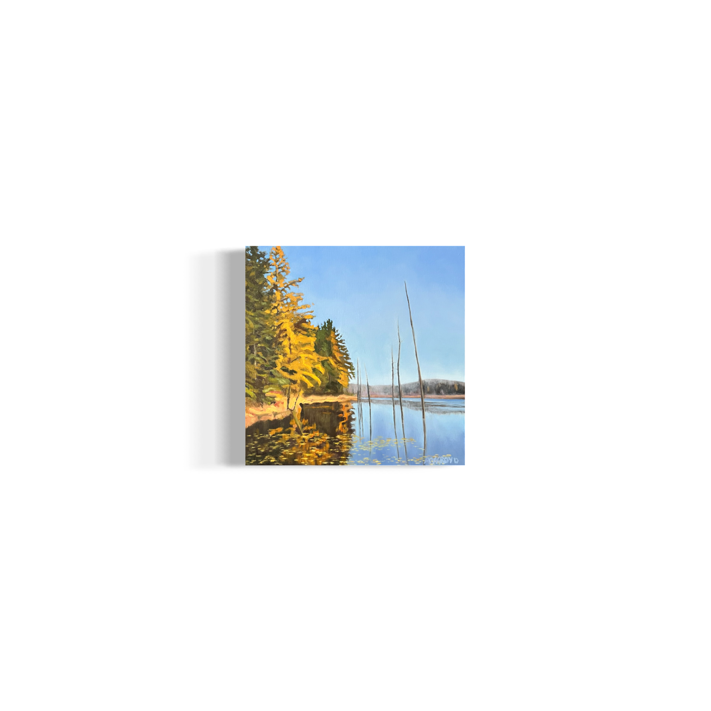 IMG_0988.PNG