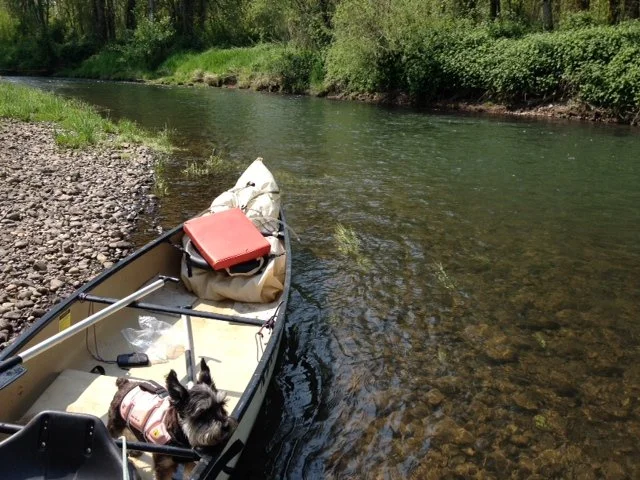 Let’s Paddle Friendly Creeks