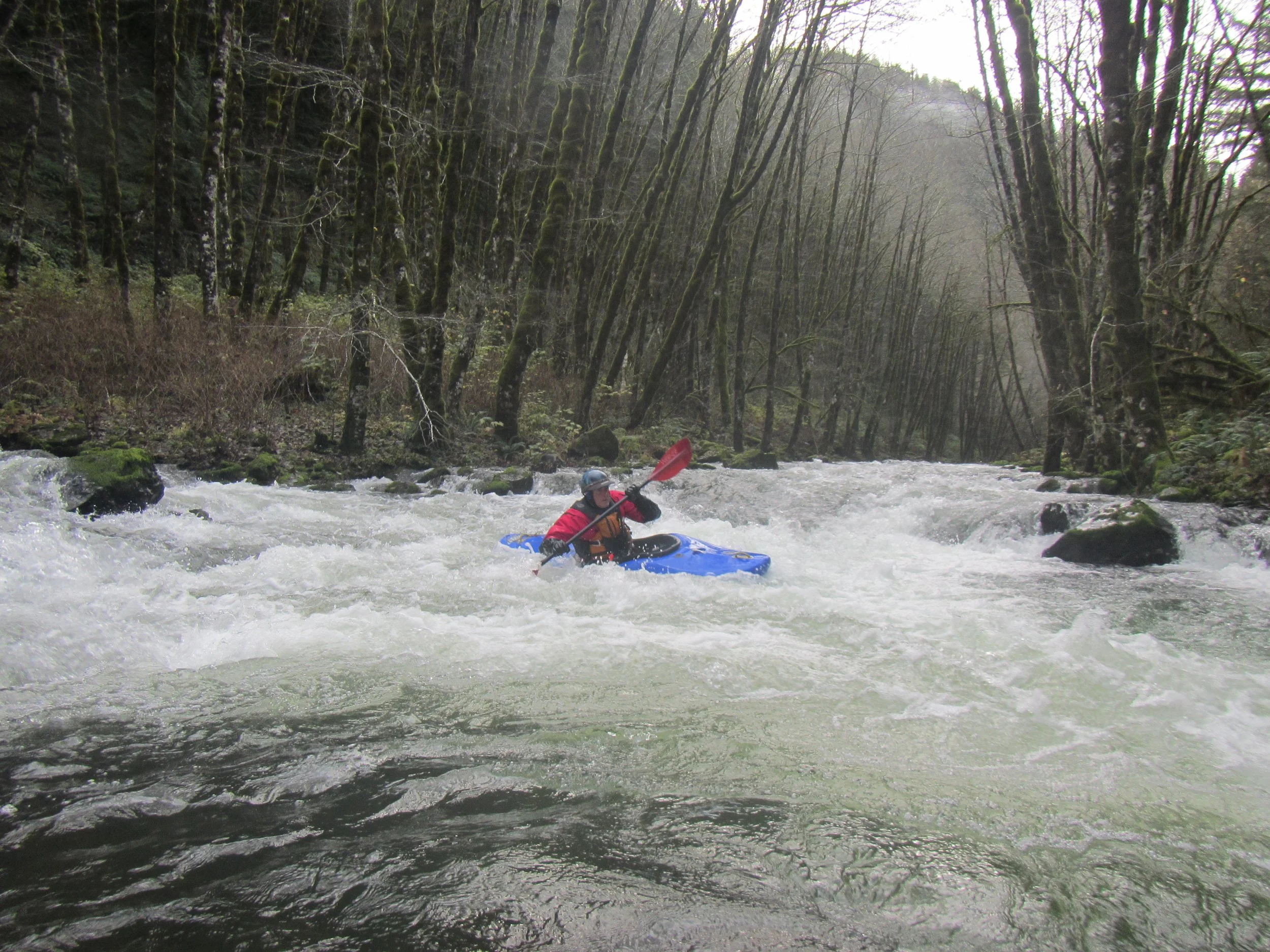 New Year's Paddle -- and meet the Board