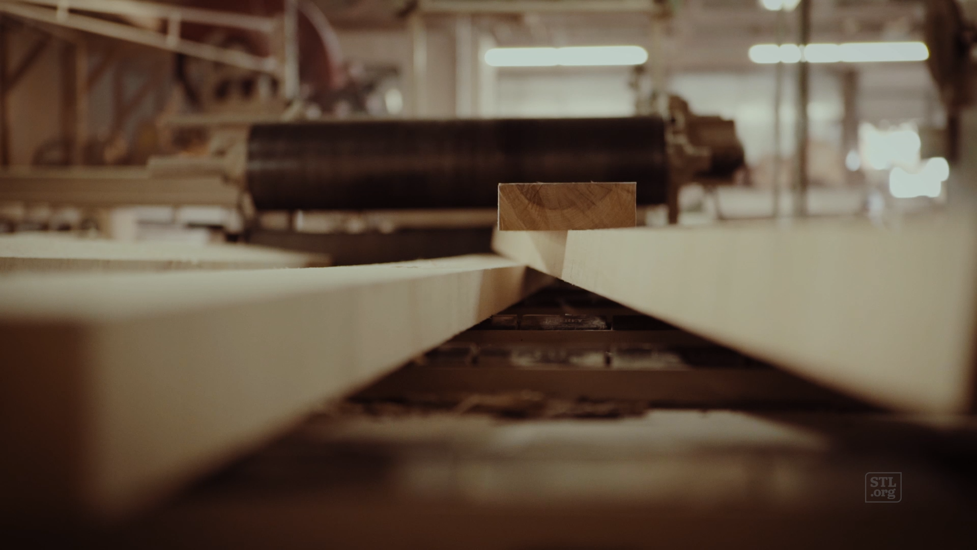 // A Spotlight on St. Louis