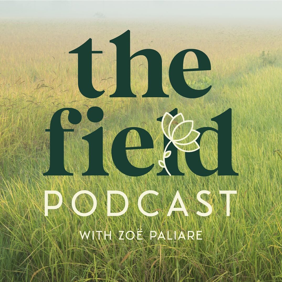 Happy to share logo &amp; podcast cover design for @the.field.podcast 🌱

Always an amazing feeling when your work does good work. Huge congrats to @zoepaliare 🙌🏼✨