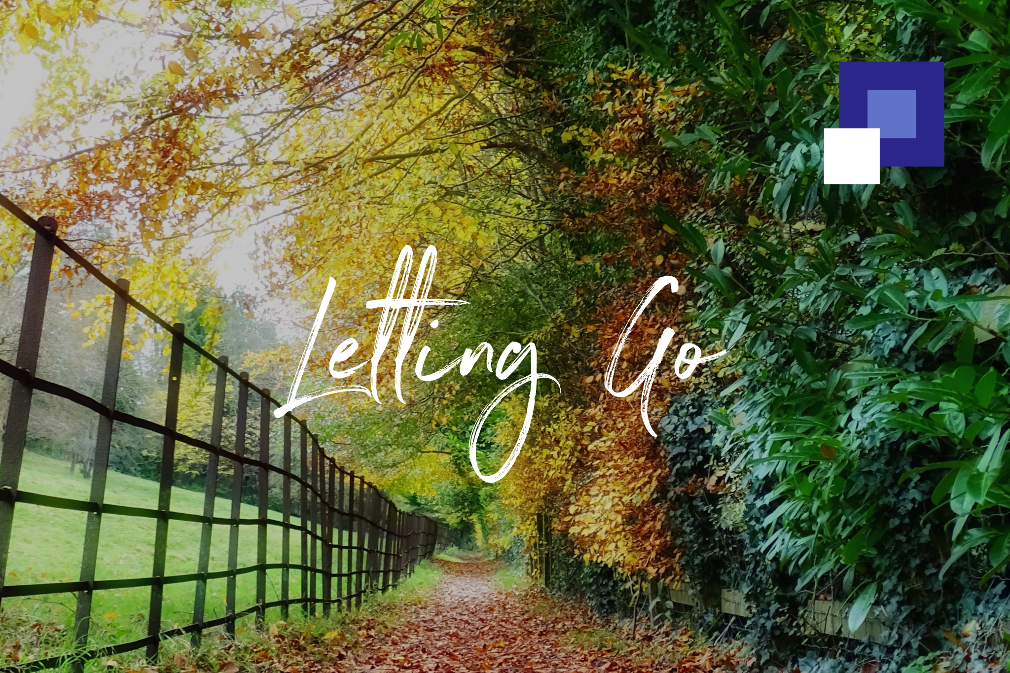 Mastering the Art of Letting Go