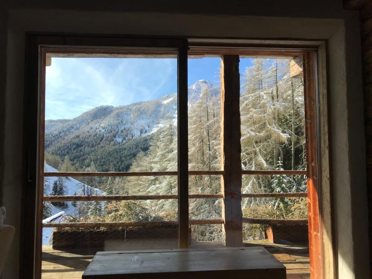 Window view.jpeg