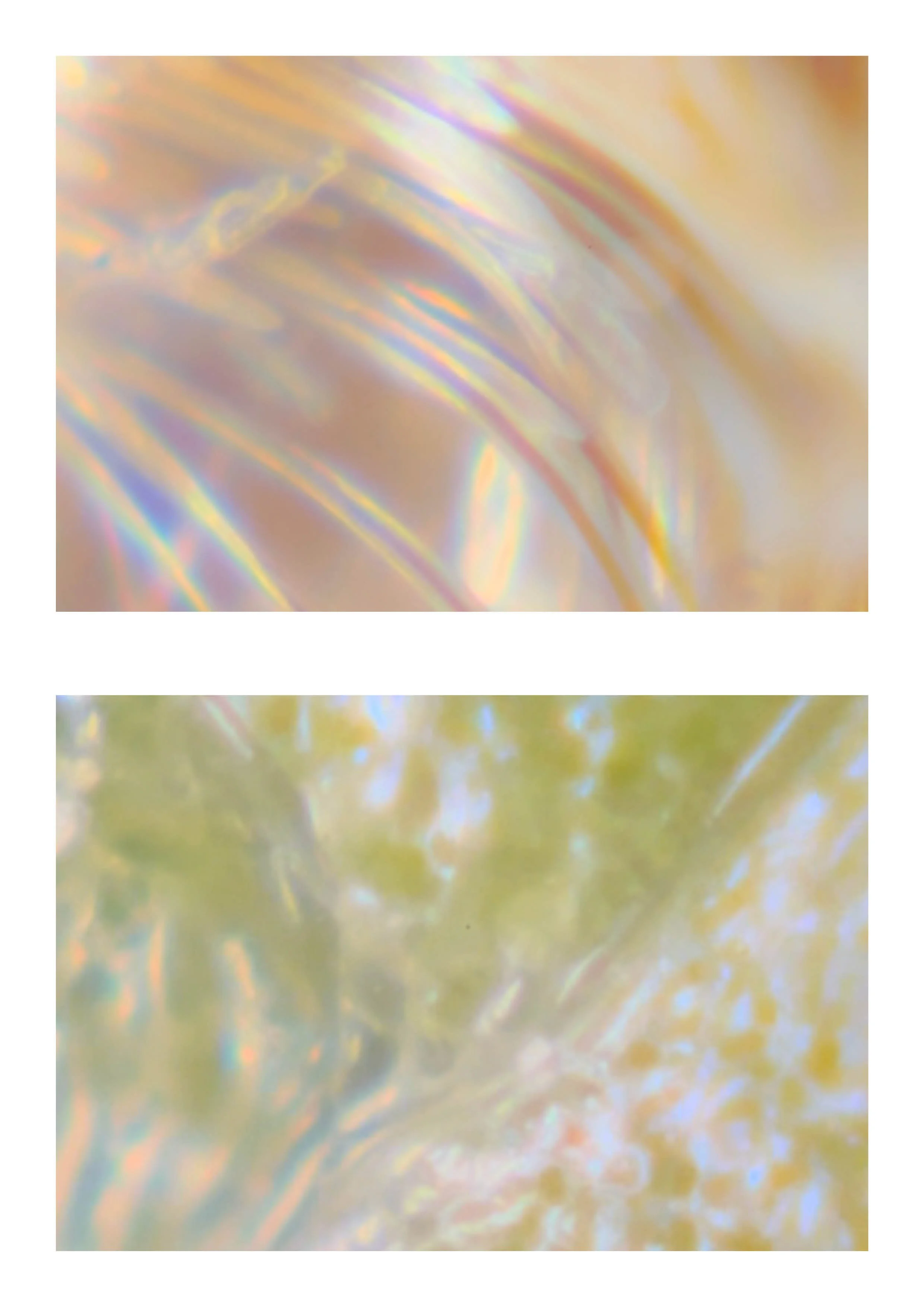 20260108_Just Do It 225.jpg