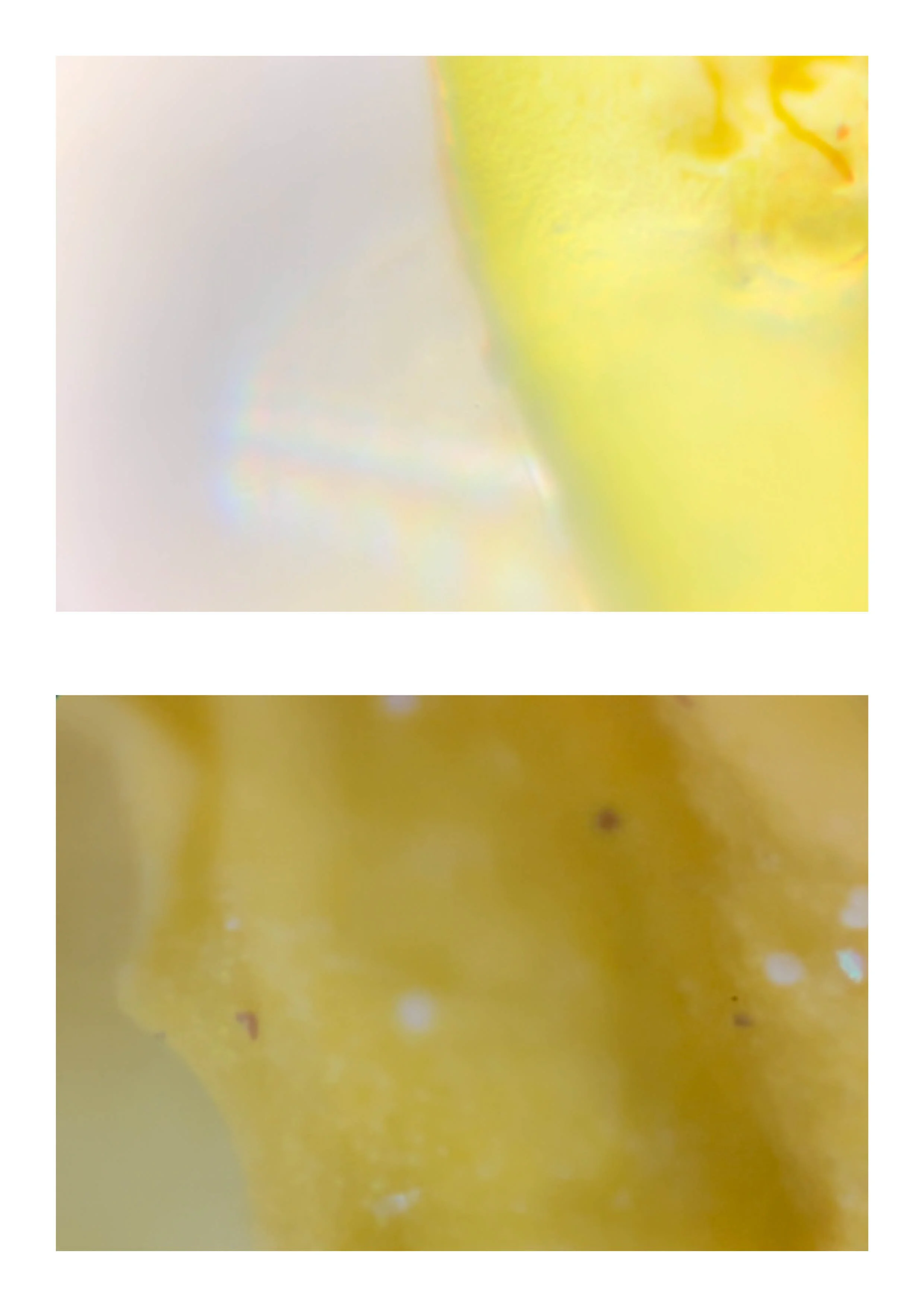 20260108_Just Do It 213.jpg