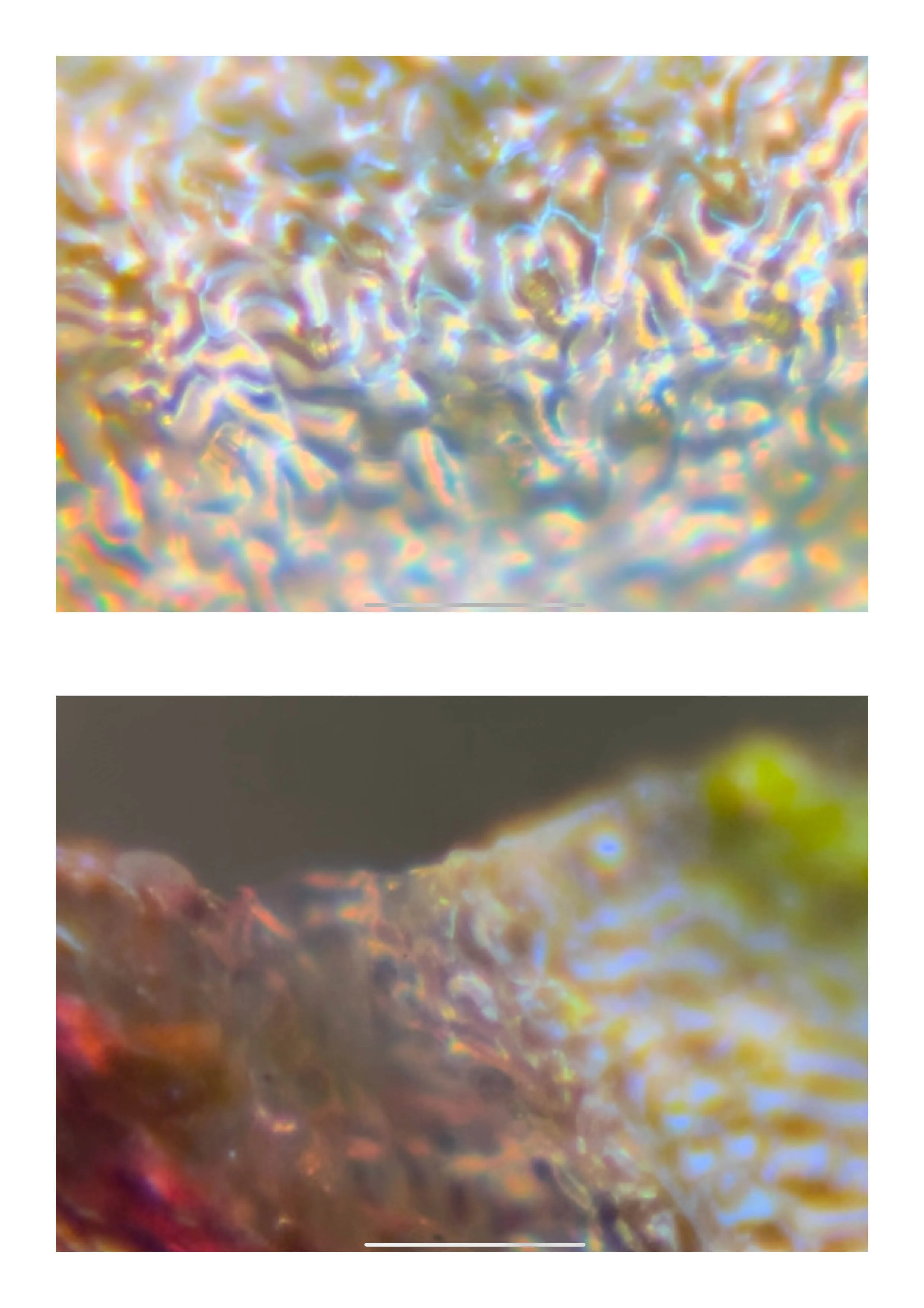 20260108_Just Do It 222.jpg