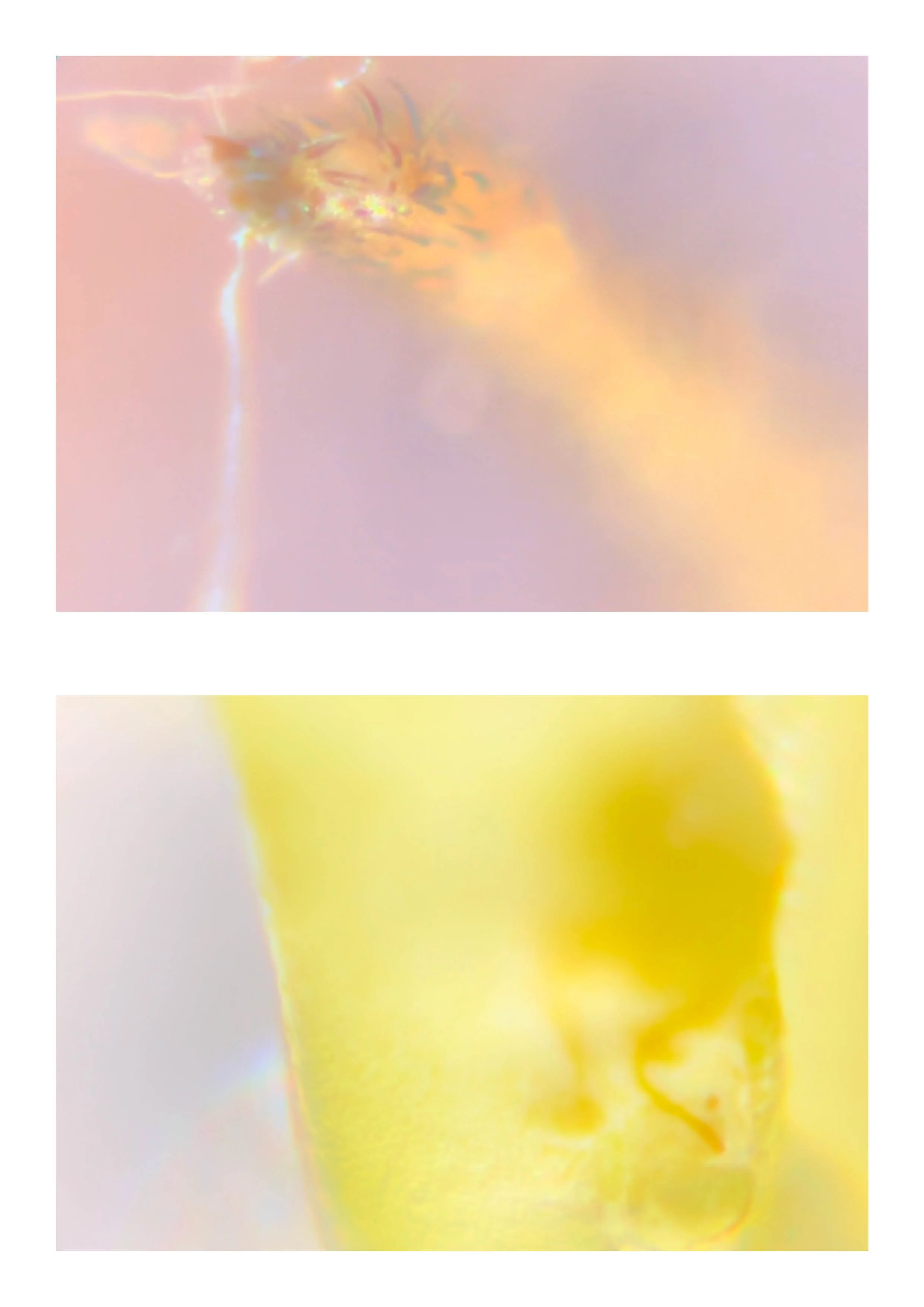 20260108_Just Do It 218.jpg