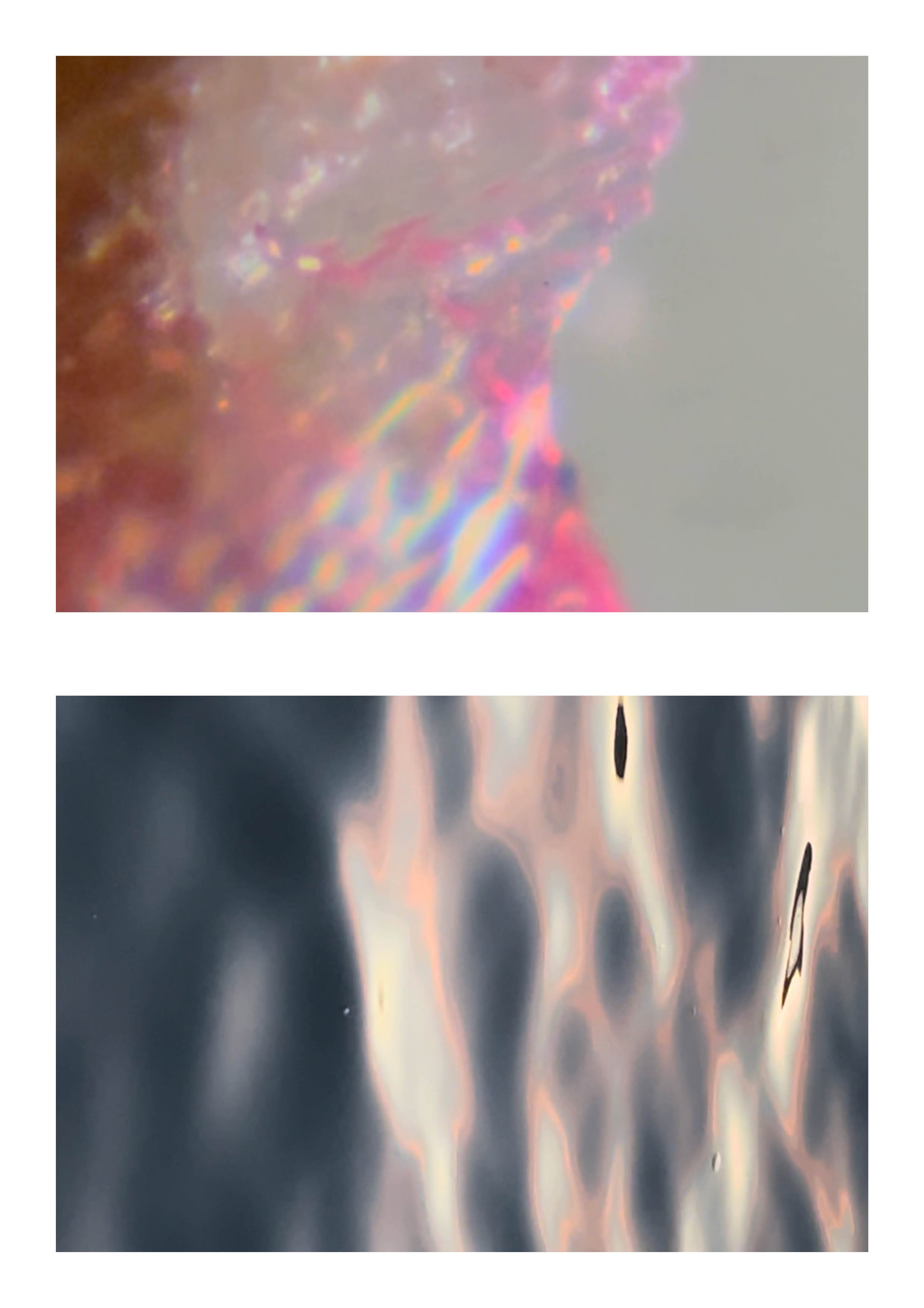 20260108_Just Do It 226.jpg