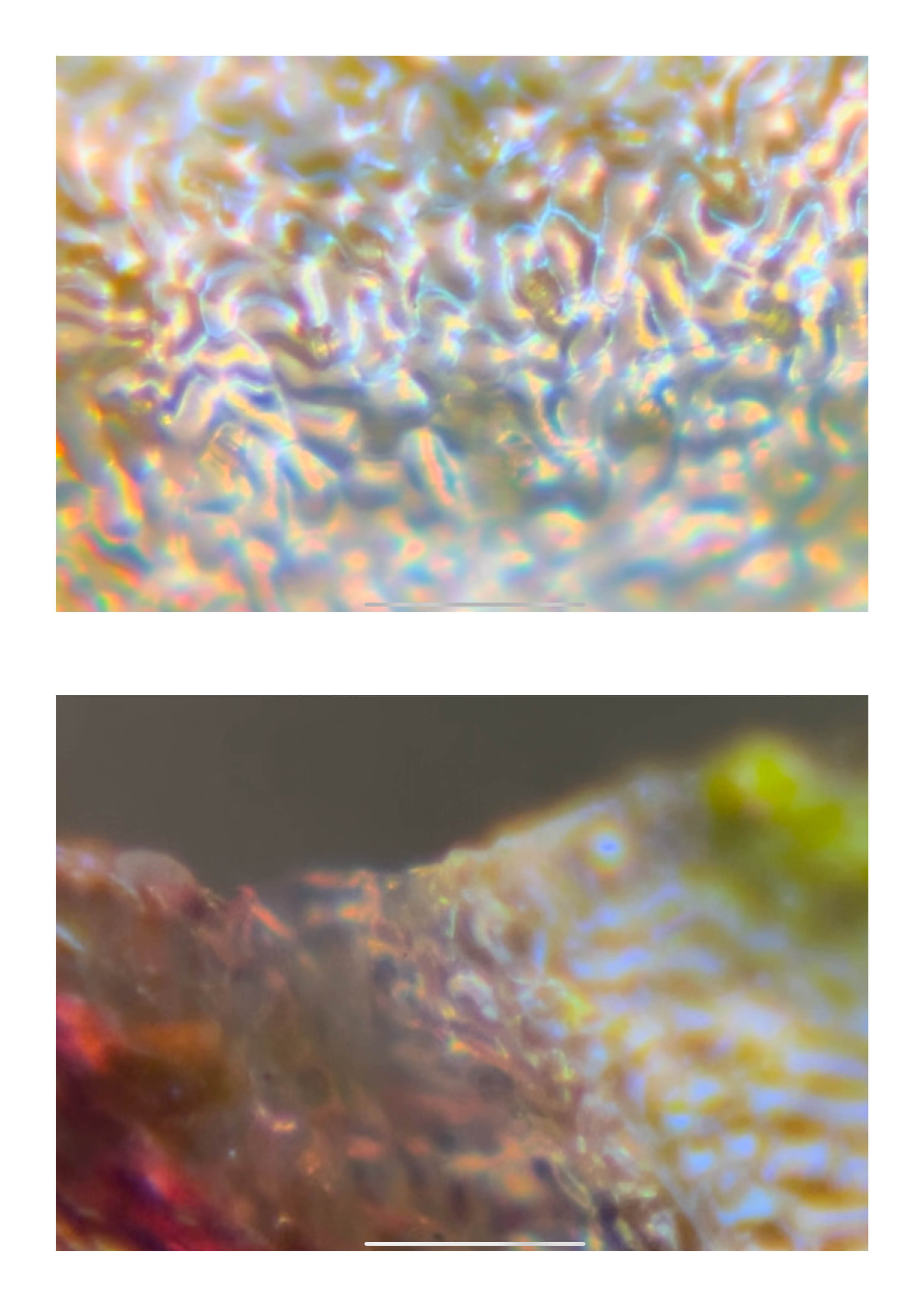 20260108_Just Do It 222.jpg