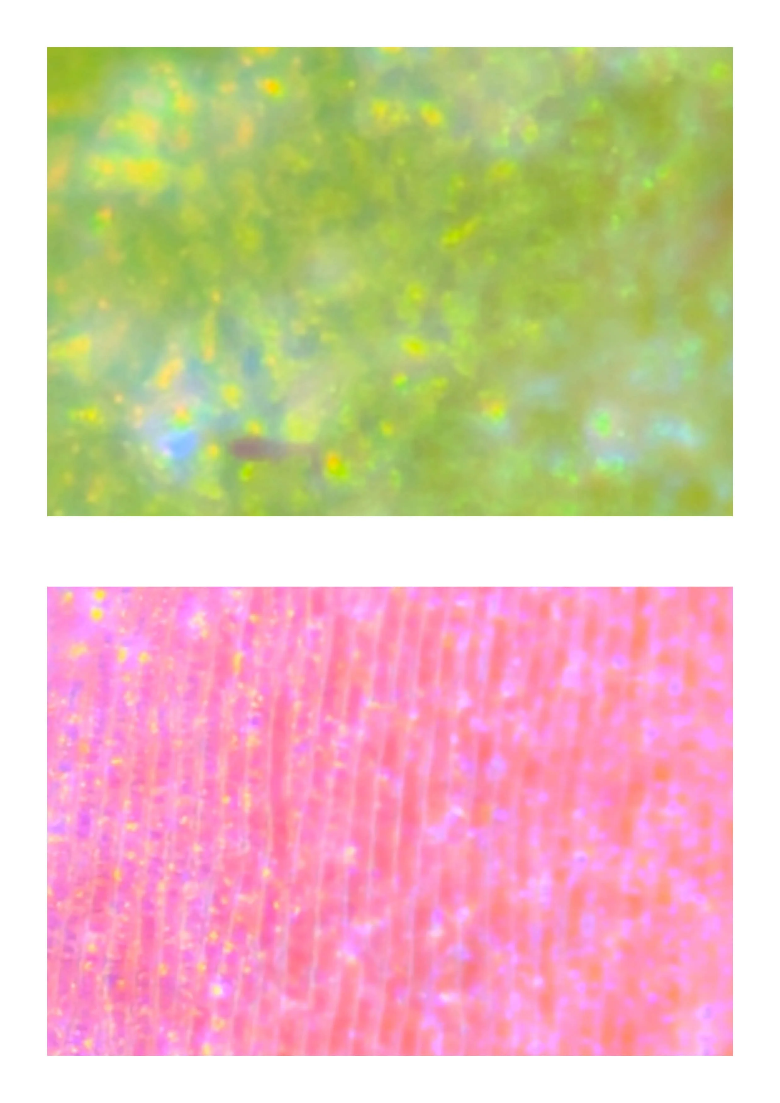 20260108_Just Do It 224.jpg