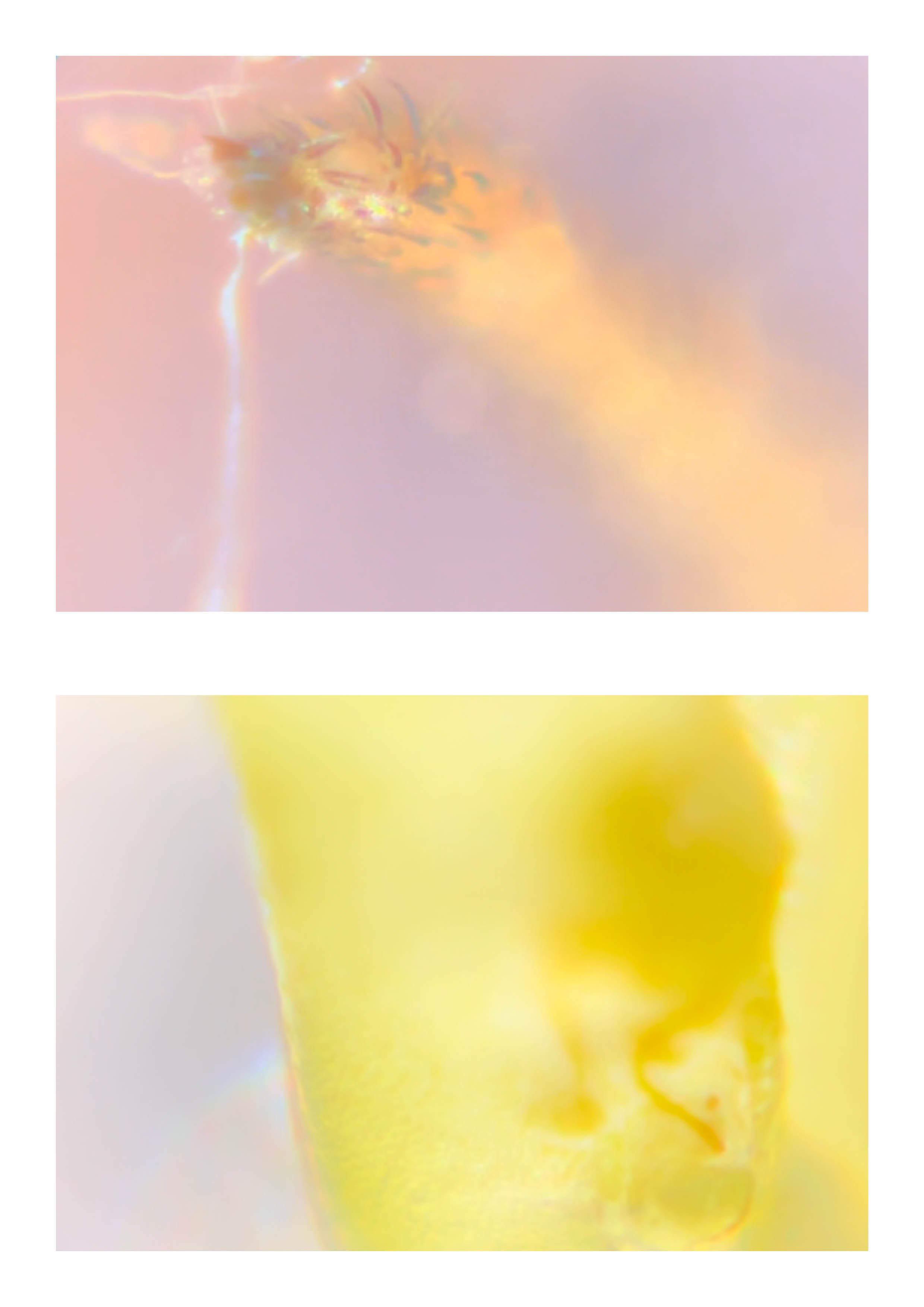 20260108_Just Do It 218.jpg