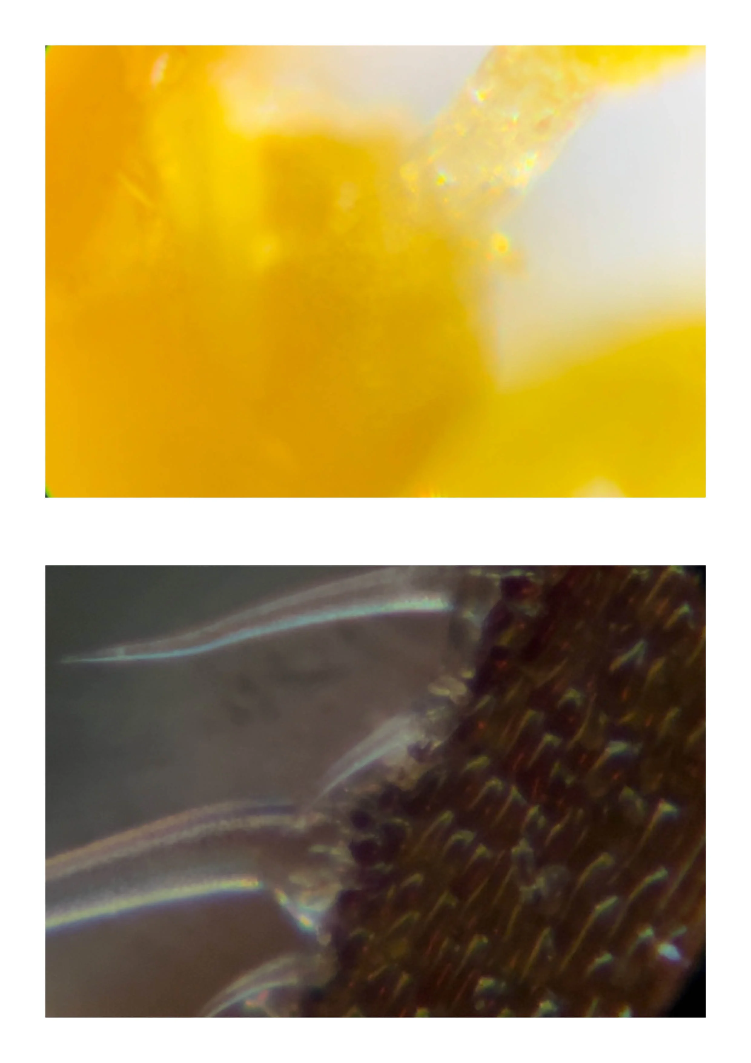 20260108_Just Do It 217.jpg