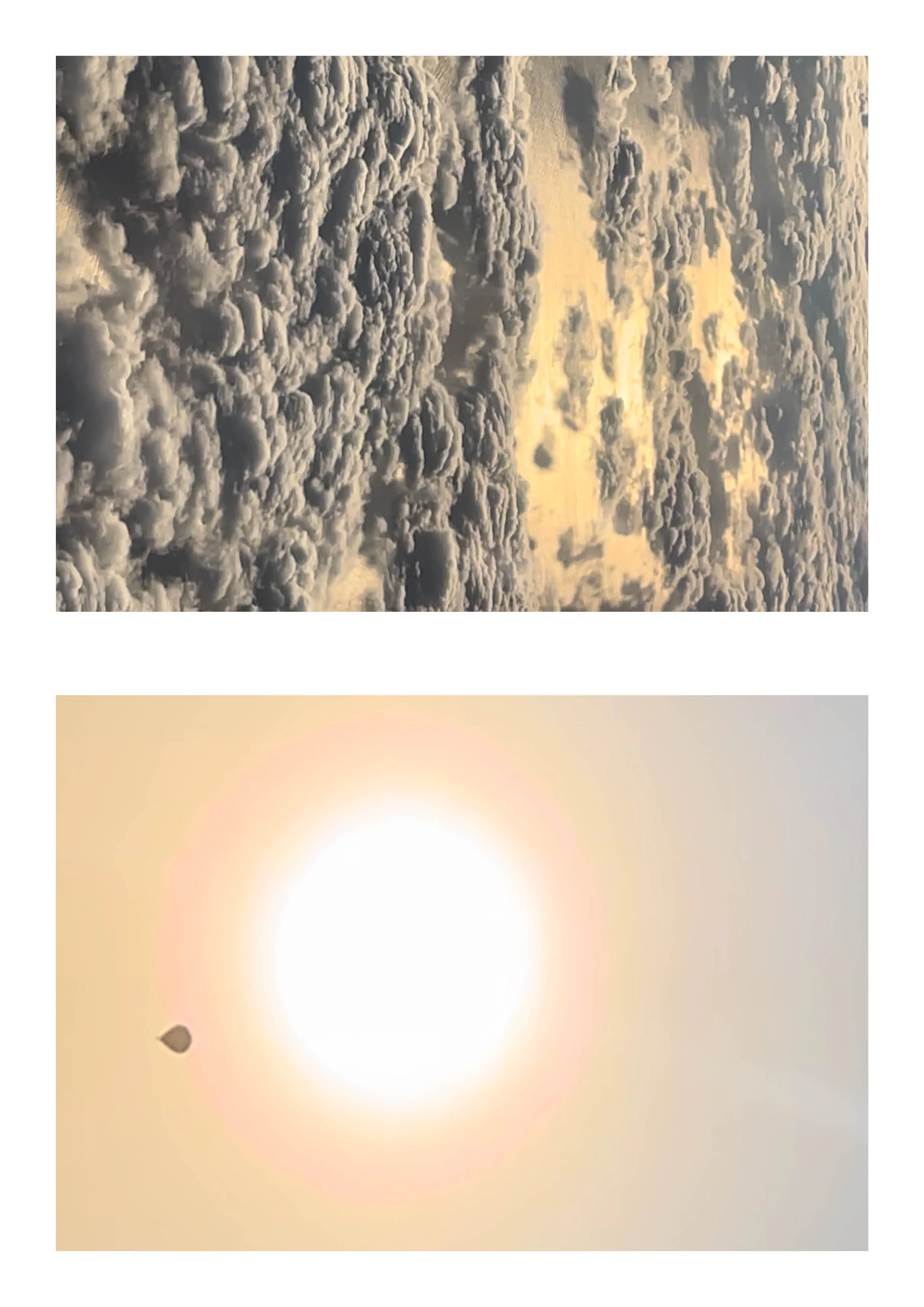 20260108_Just Do It 227.jpg