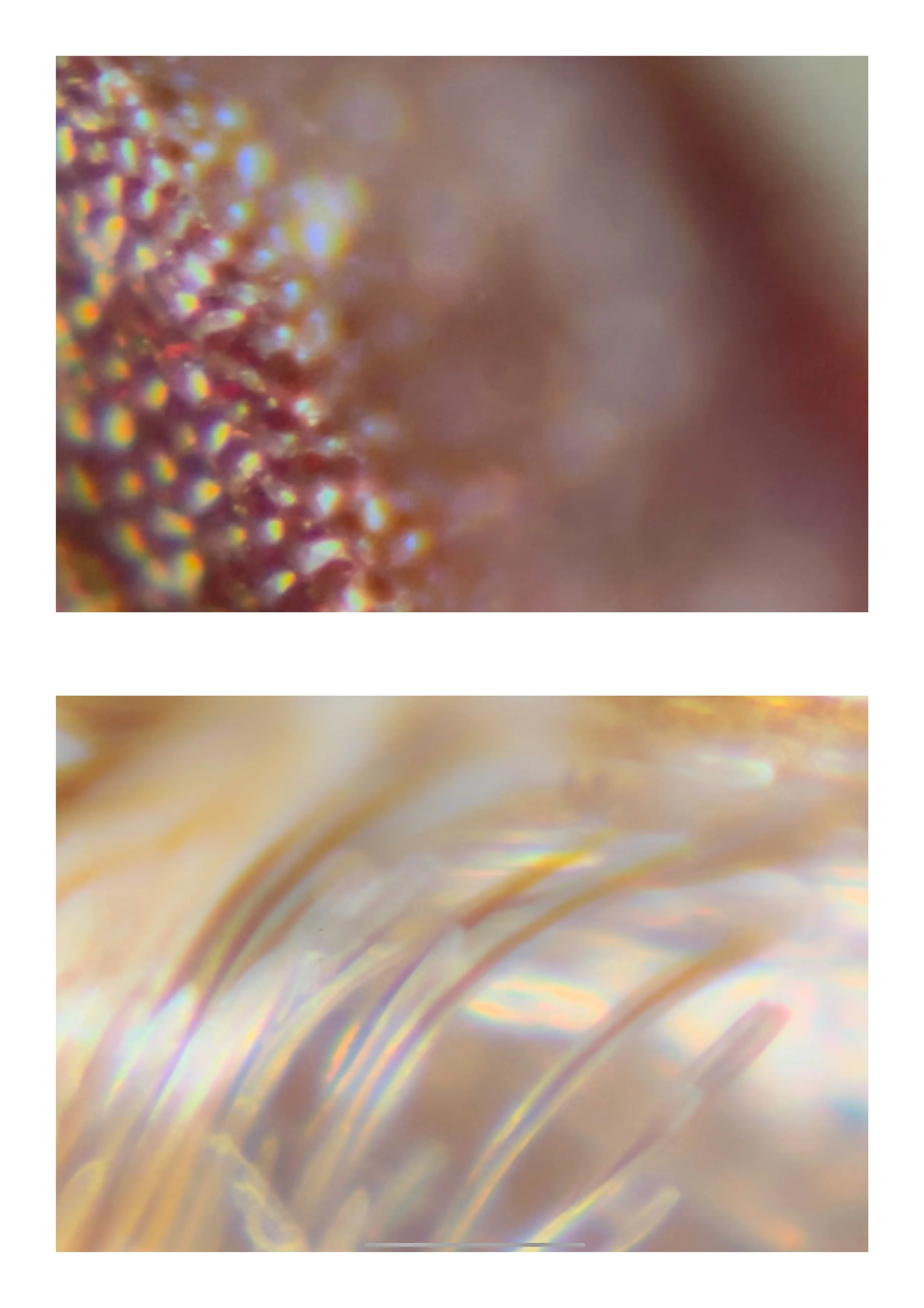 20260108_Just Do It 223.jpg