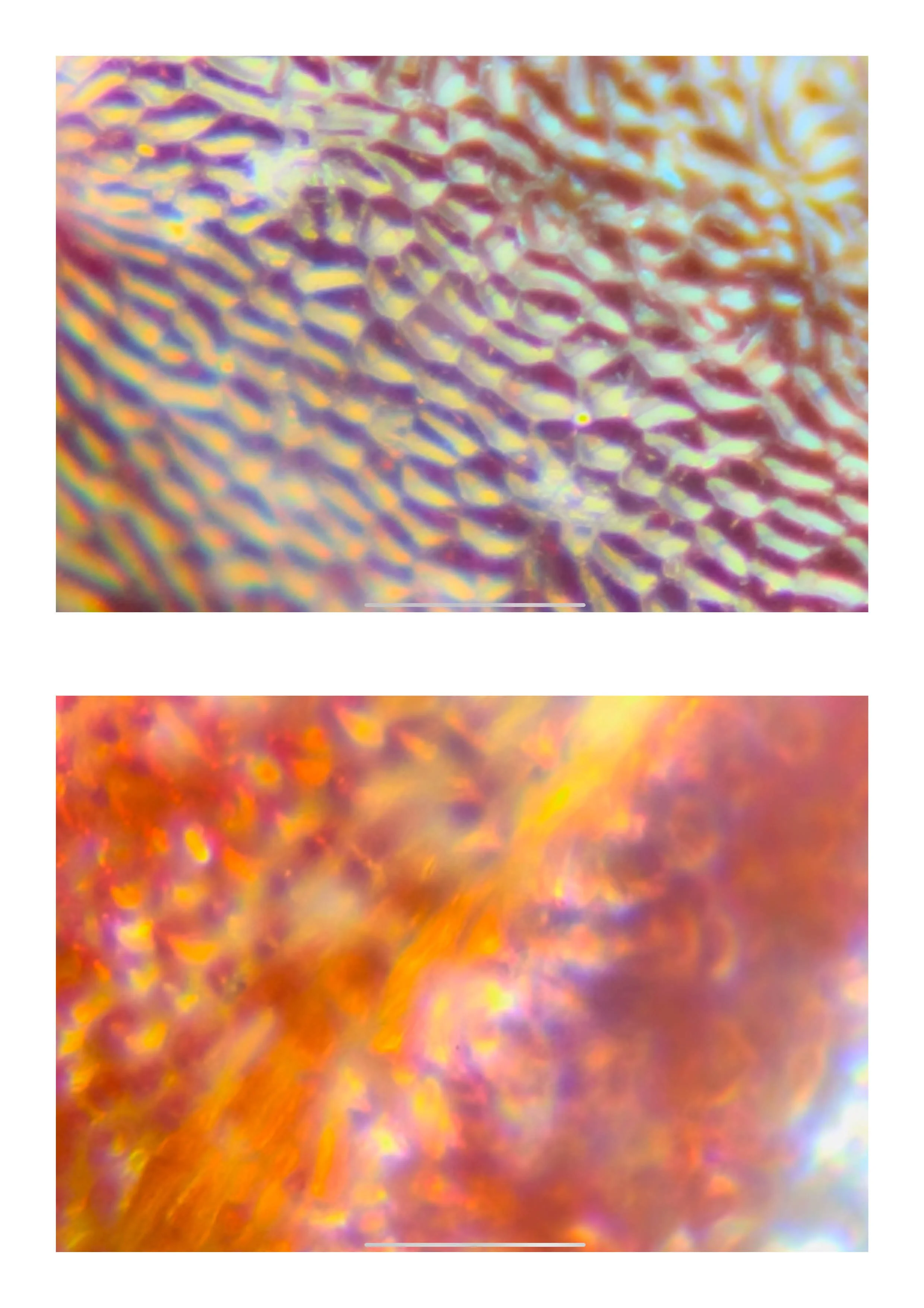 20260108_Just Do It 221.jpg