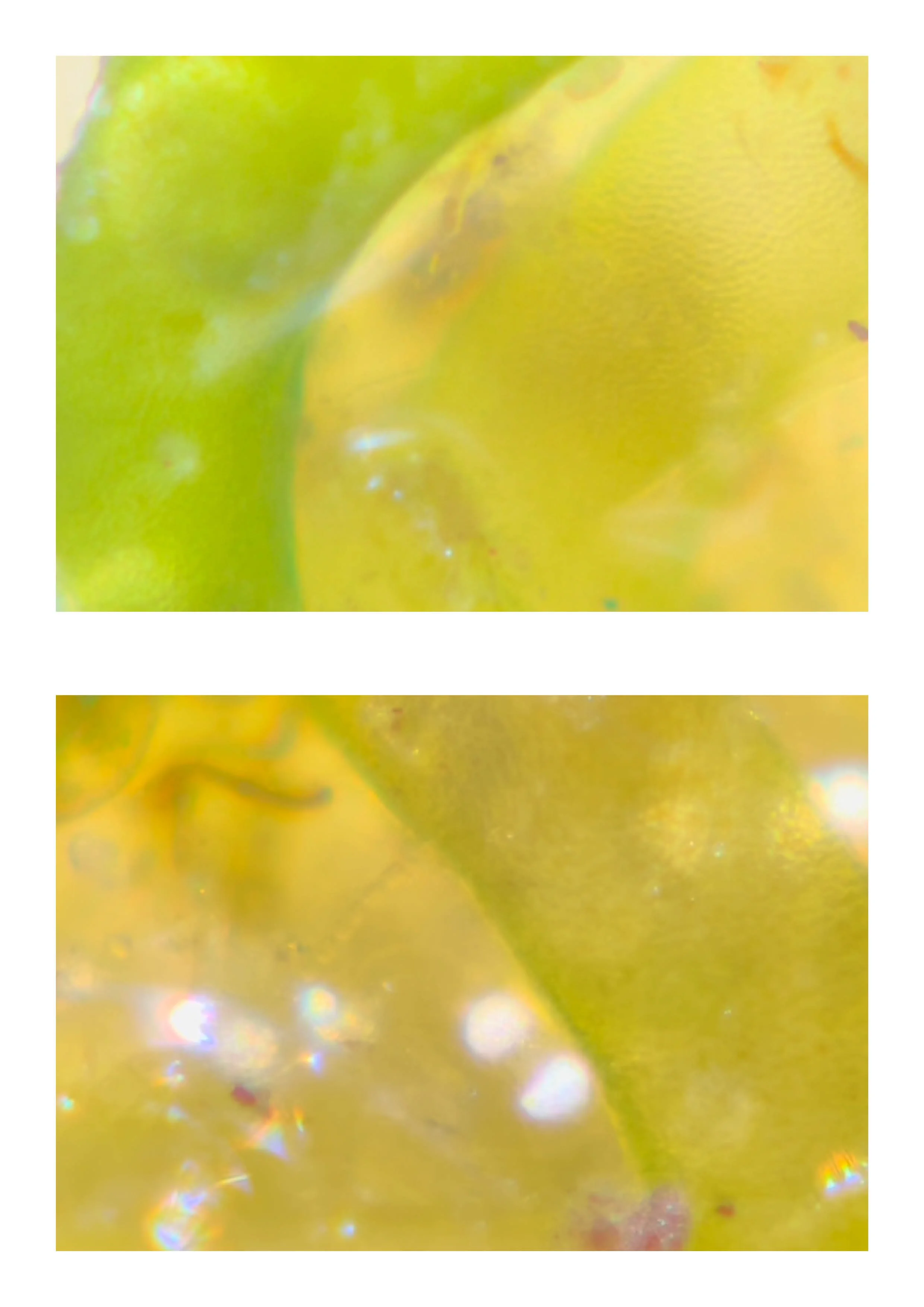 20260108_Just Do It 214.jpg