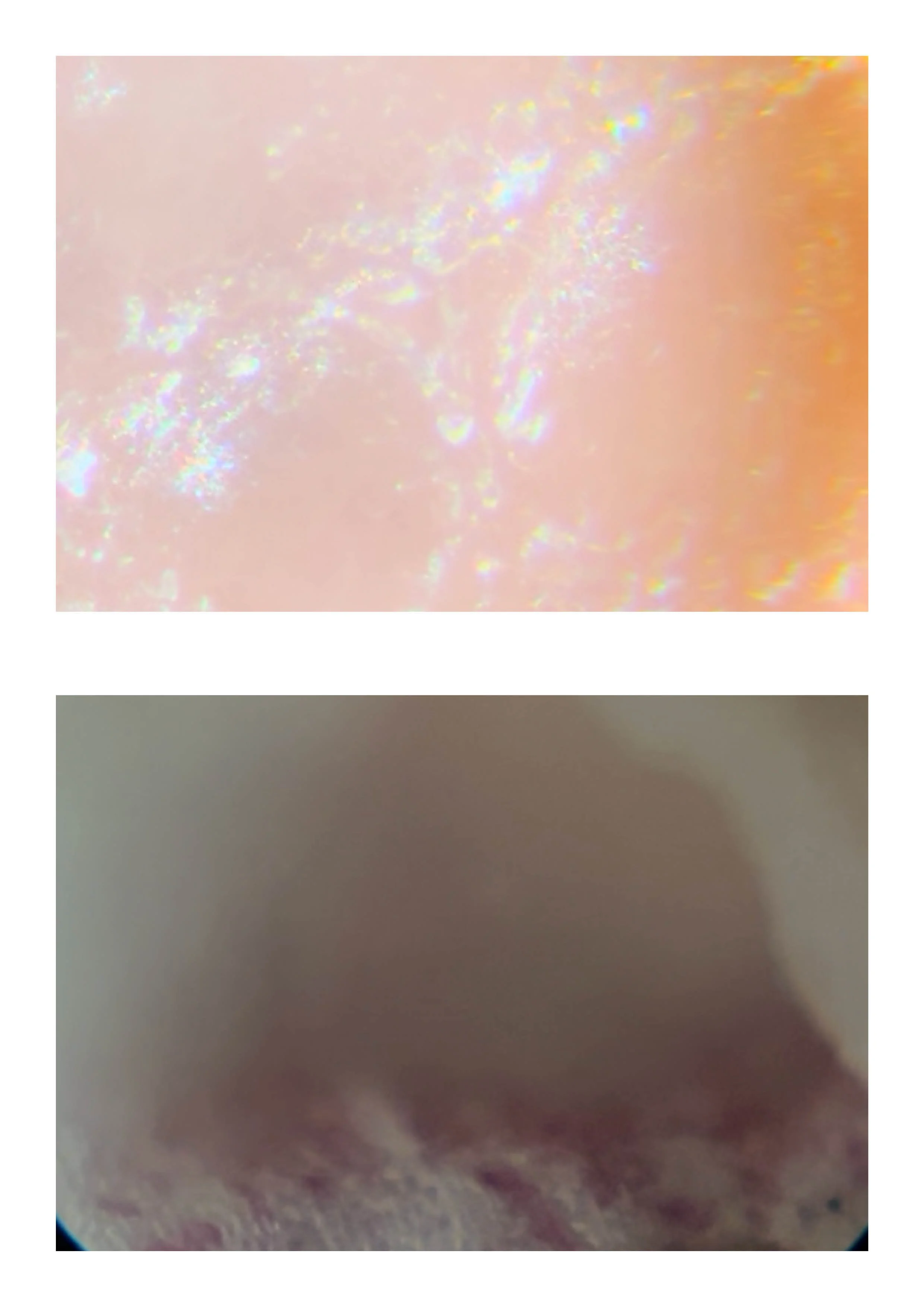 20260108_Just Do It 216.jpg