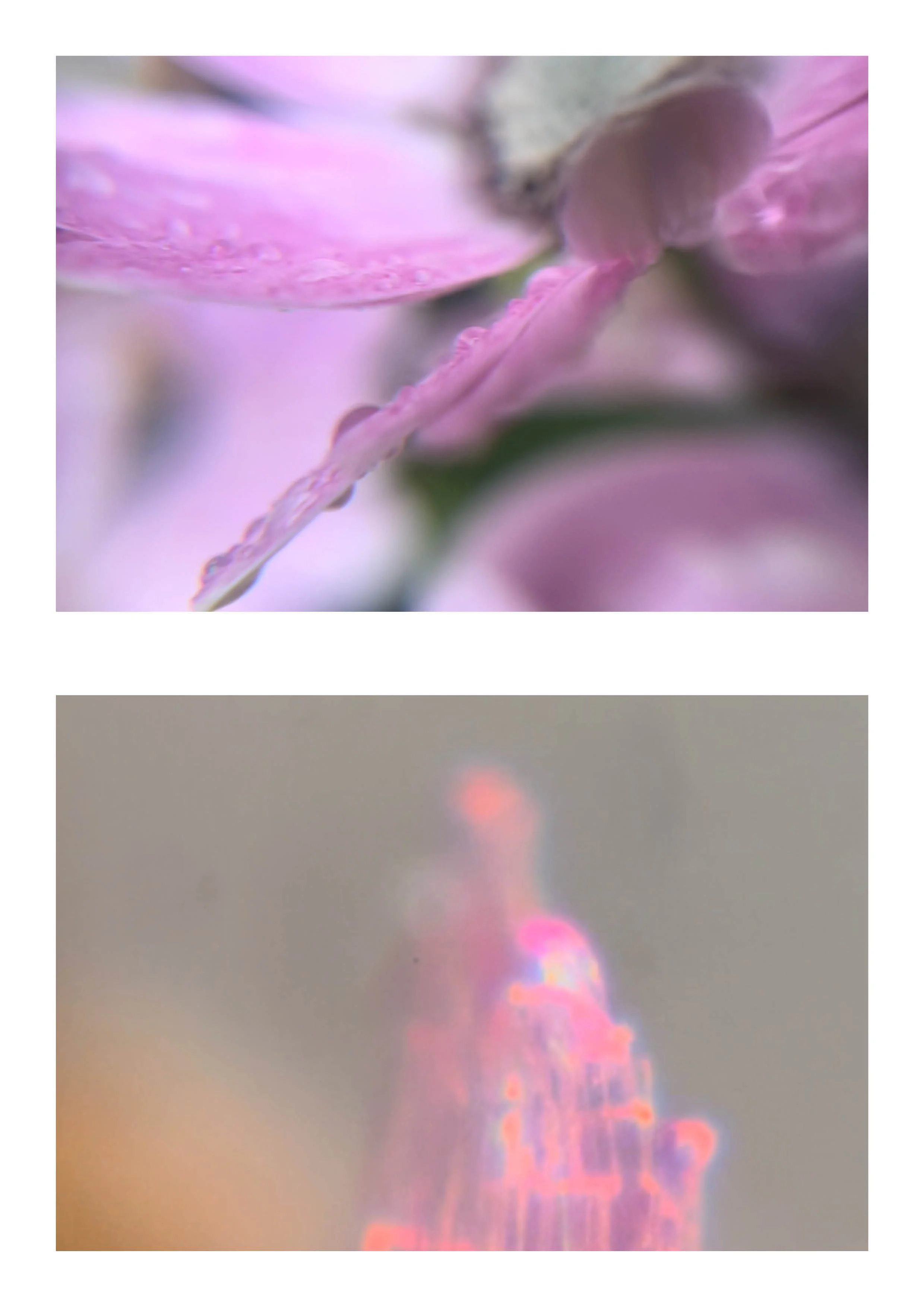 20260108_Just Do It 220.jpg