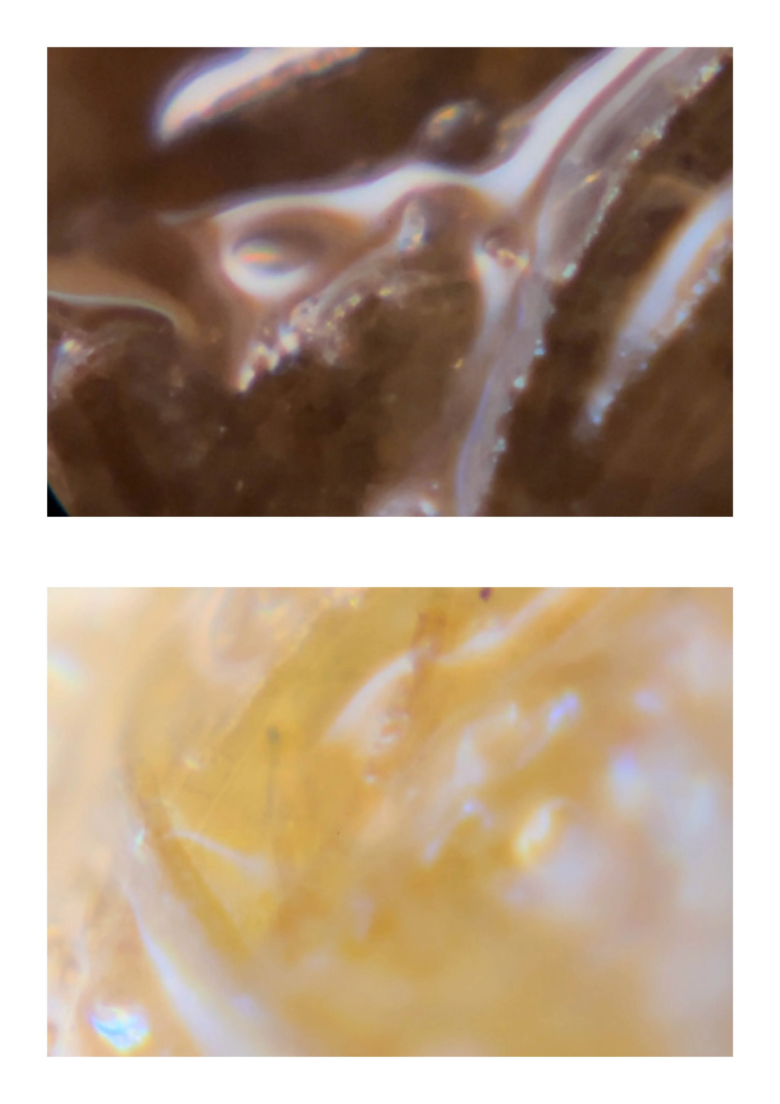 20260108_Just Do It 215.jpg