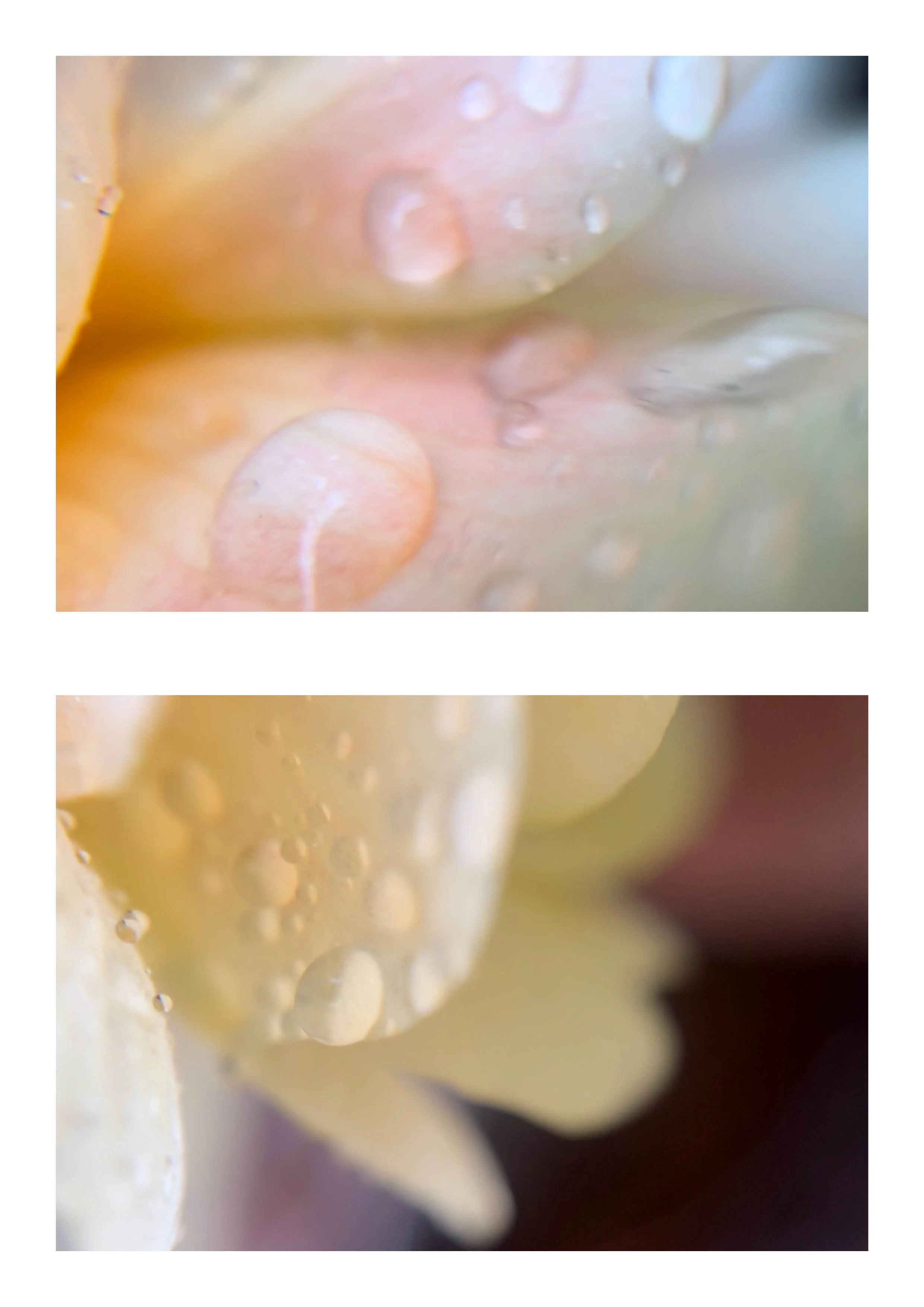 20260108_Just Do It 219.jpg