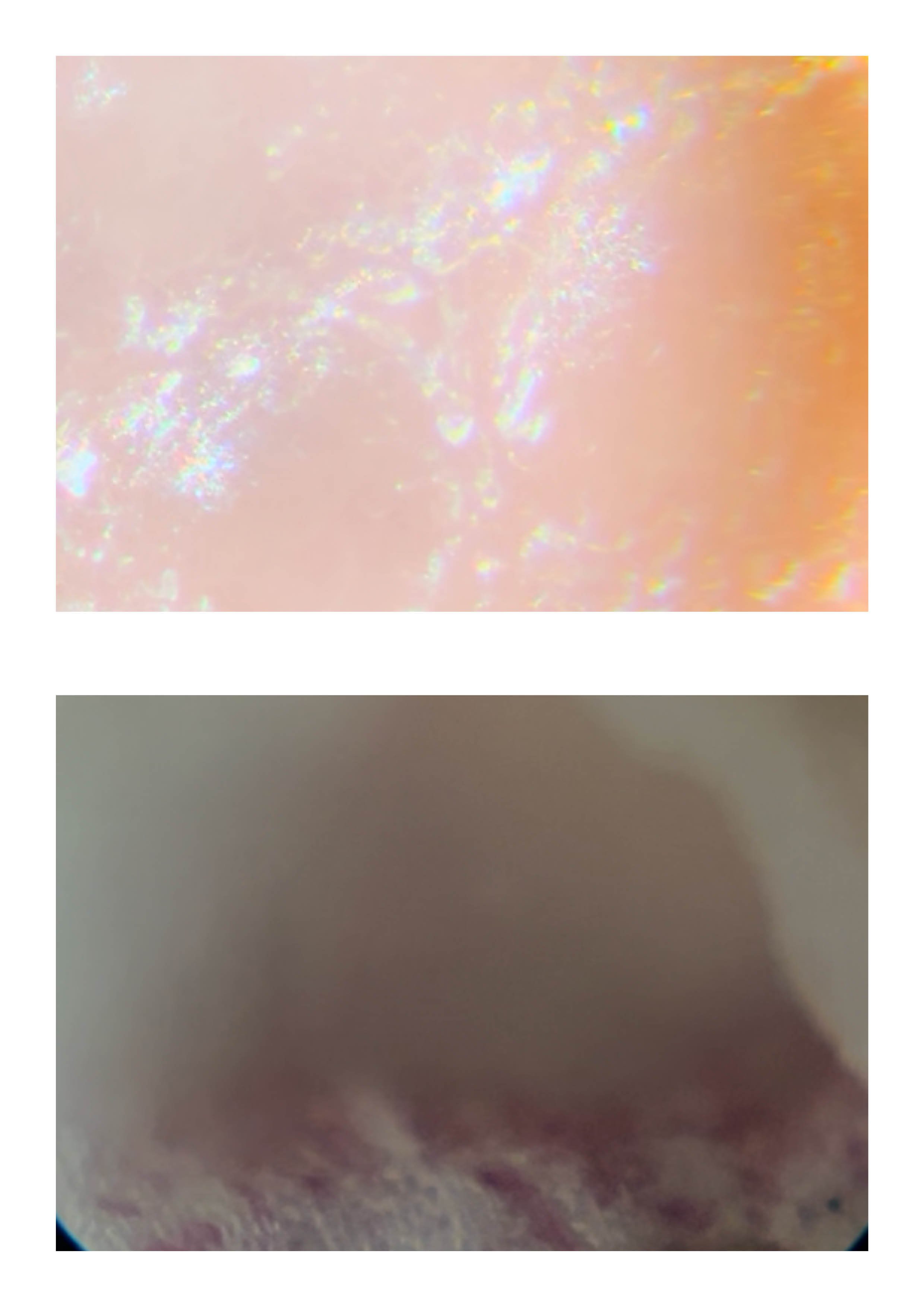 20260108_Just Do It 216.jpg