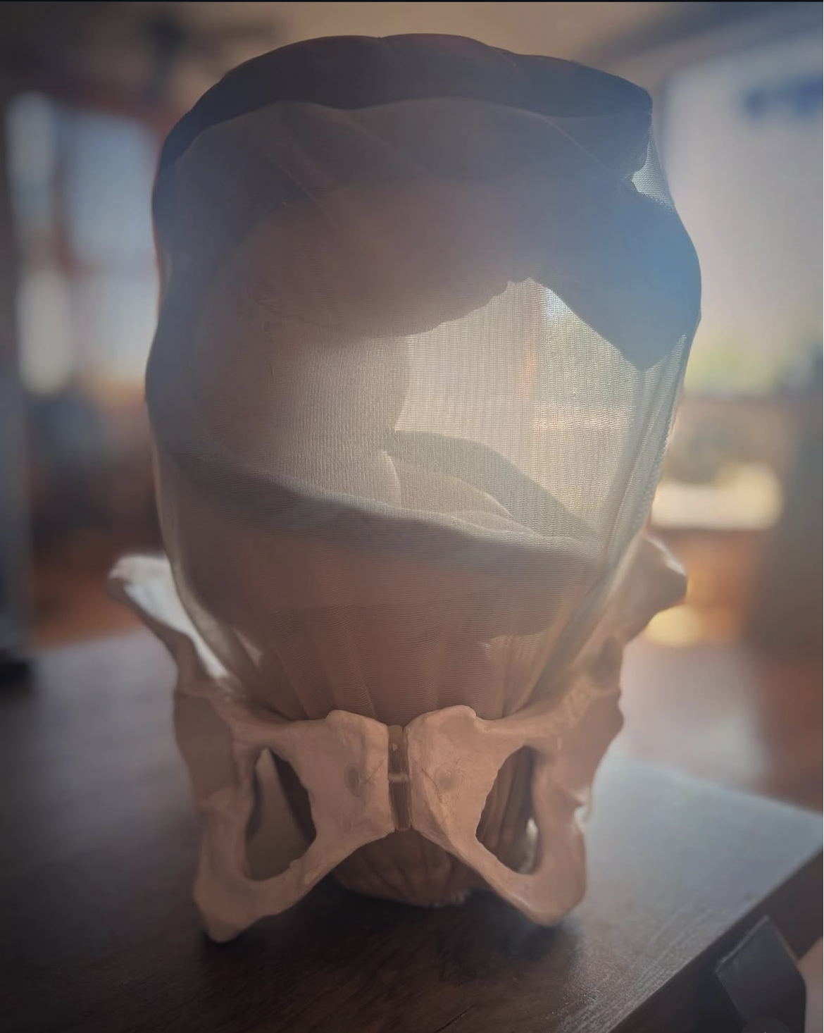 Screenshot 2026-03-15 at 10.33.39 PM.png