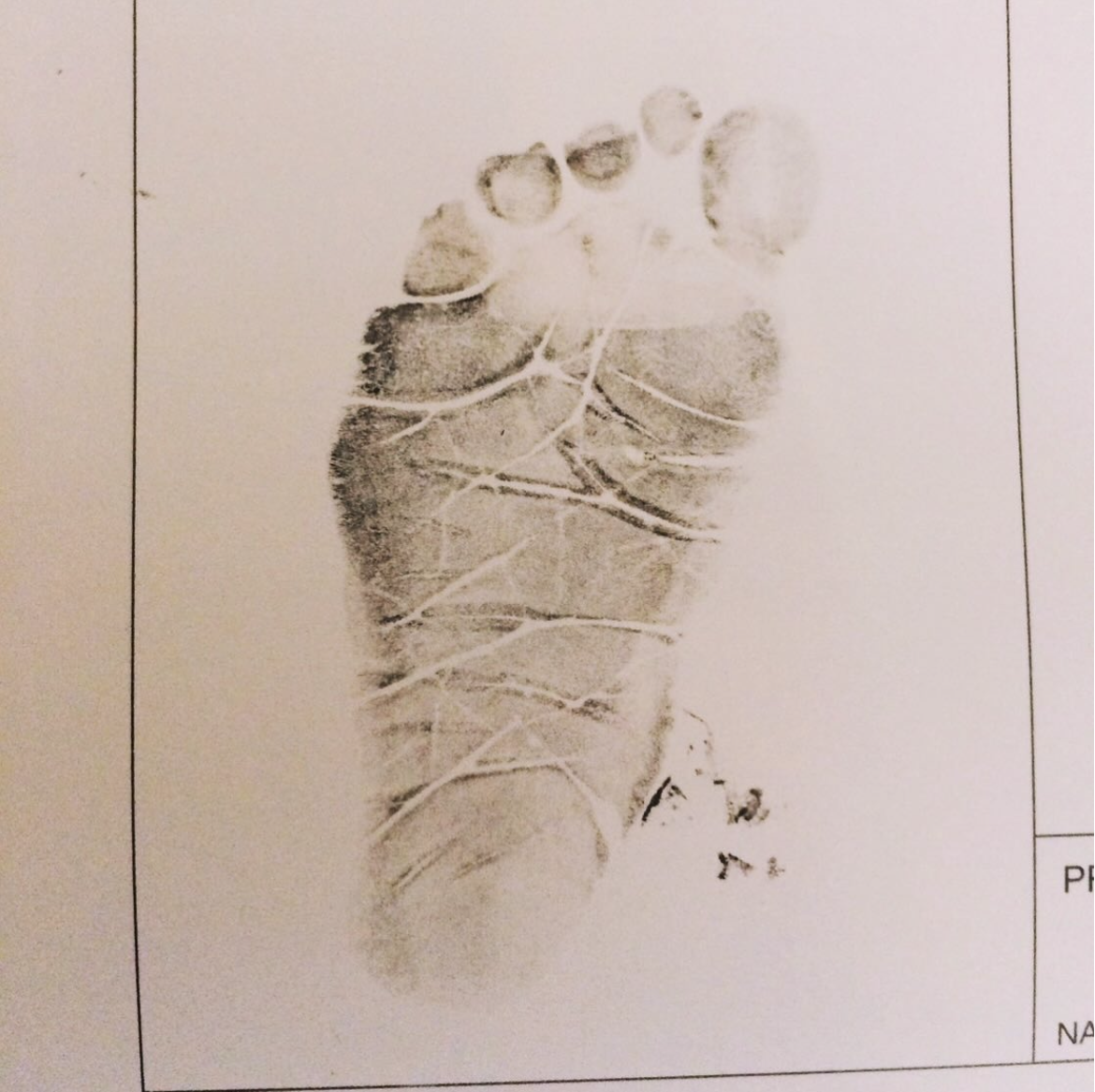 Screenshot 2026-03-15 at 10.36.57 PM.png