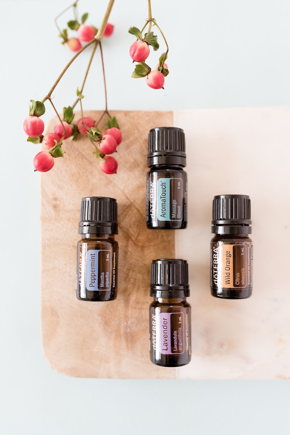 doTerra oils are simply the best quality oils out there and when you're traveling it can really help keep your immune system up and your anxiety down. Haha... 