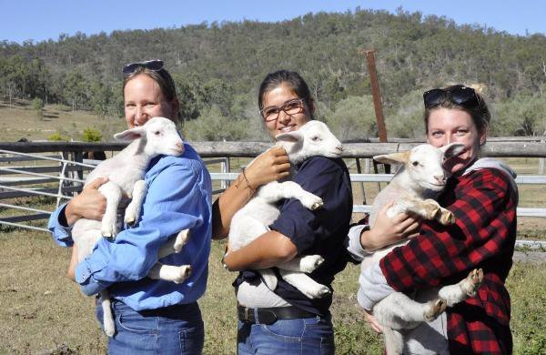 hug goats  work australia.jpg