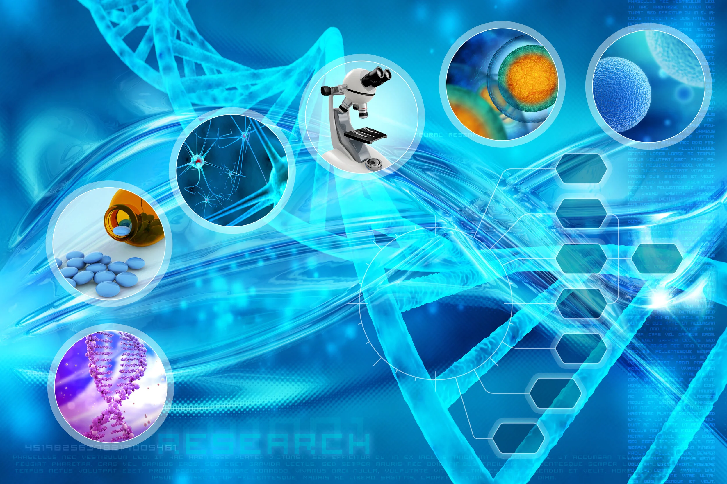 iStock-478301840.jpg