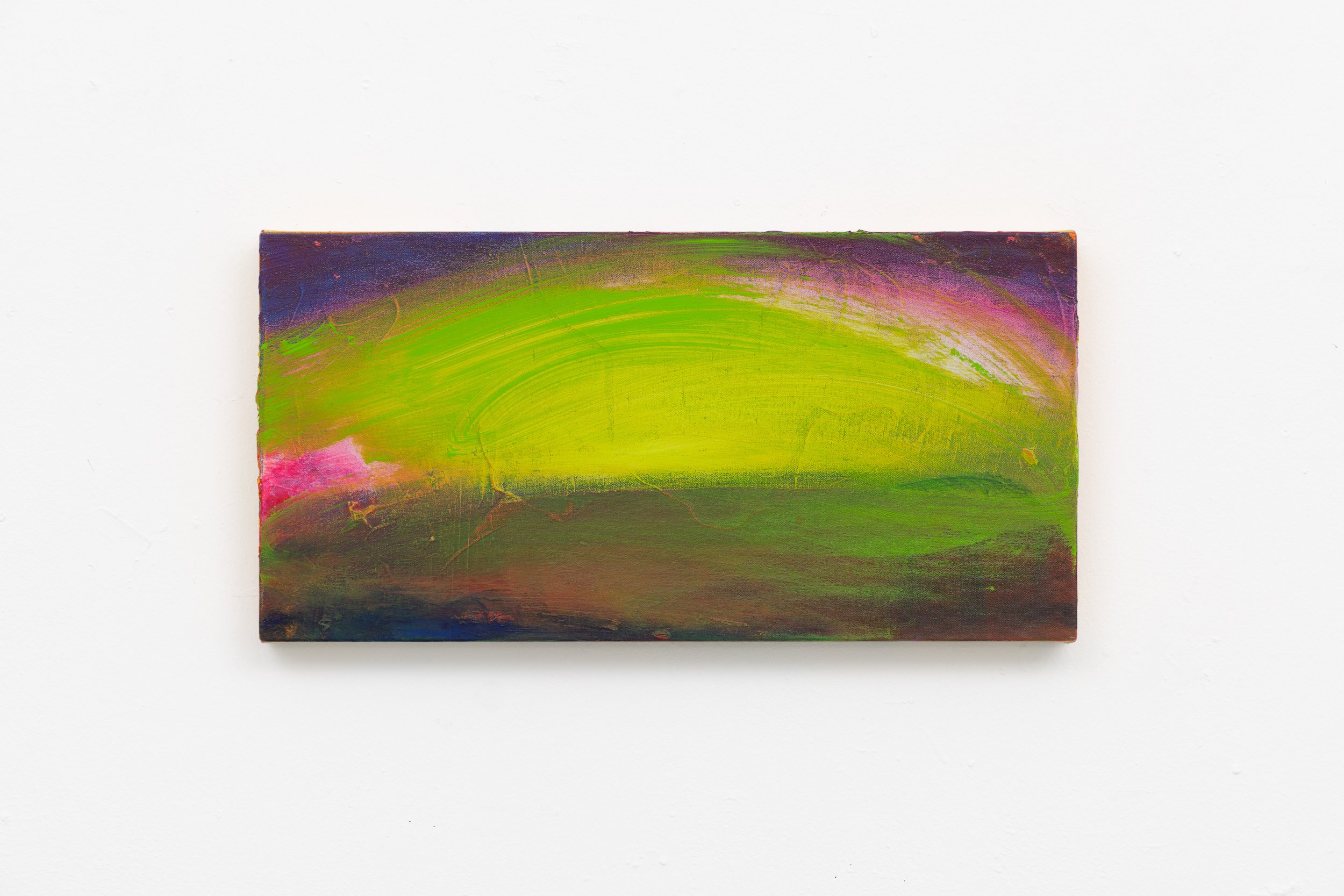 Over fields, 2024-25, oil and distemper on canvas, 30 x 60 cm