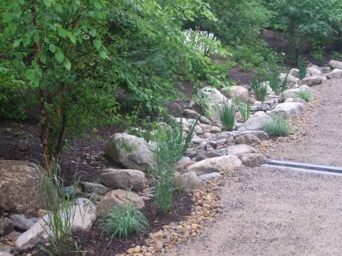 ferguson 2010 050.jpeg